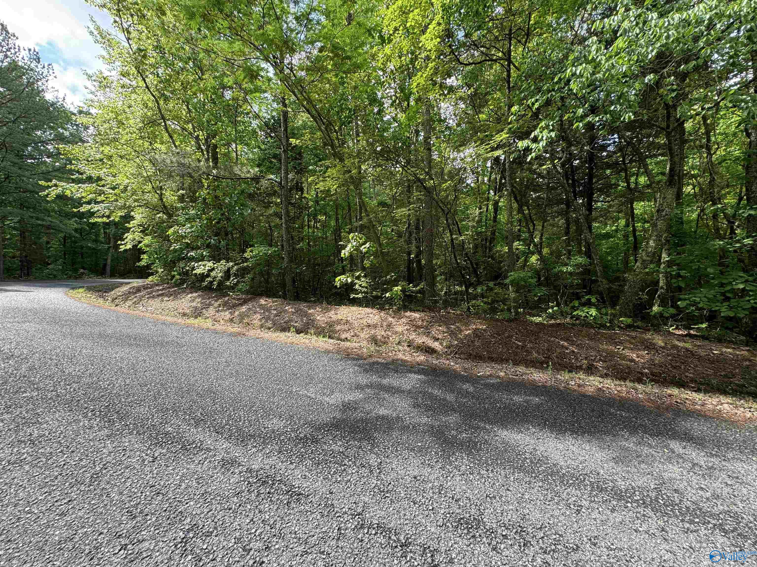 1.4 Acres Woodfern Drive, Scottsboro, Alabama image 4