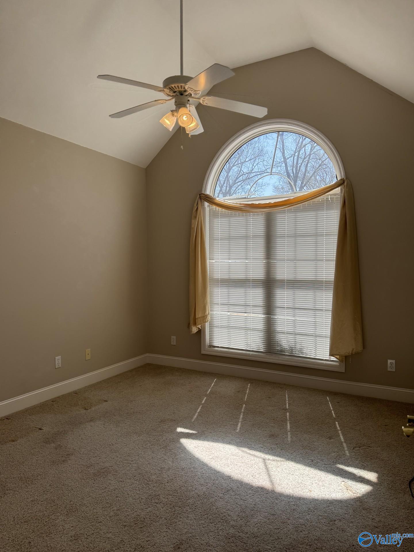 719 Highland Avenue, Muscle Shoals, Alabama image 15