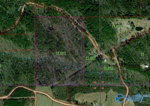 Vacant Land For Sale - 30 AC County Road 469<br/> Collinsville, AL 35961