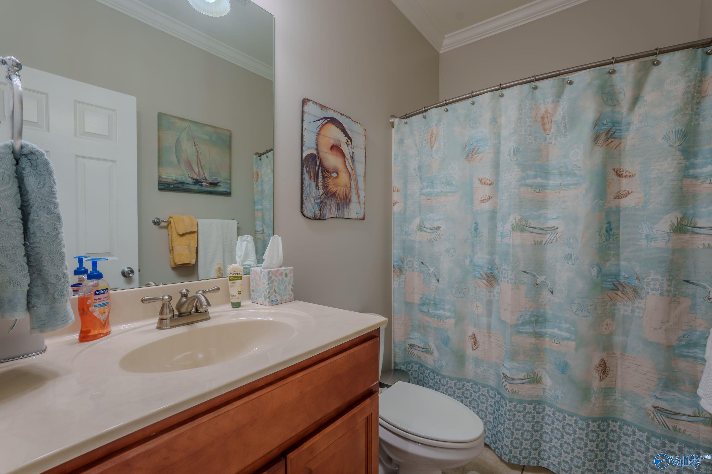 116 Grace Drive, Florence, Alabama image 16