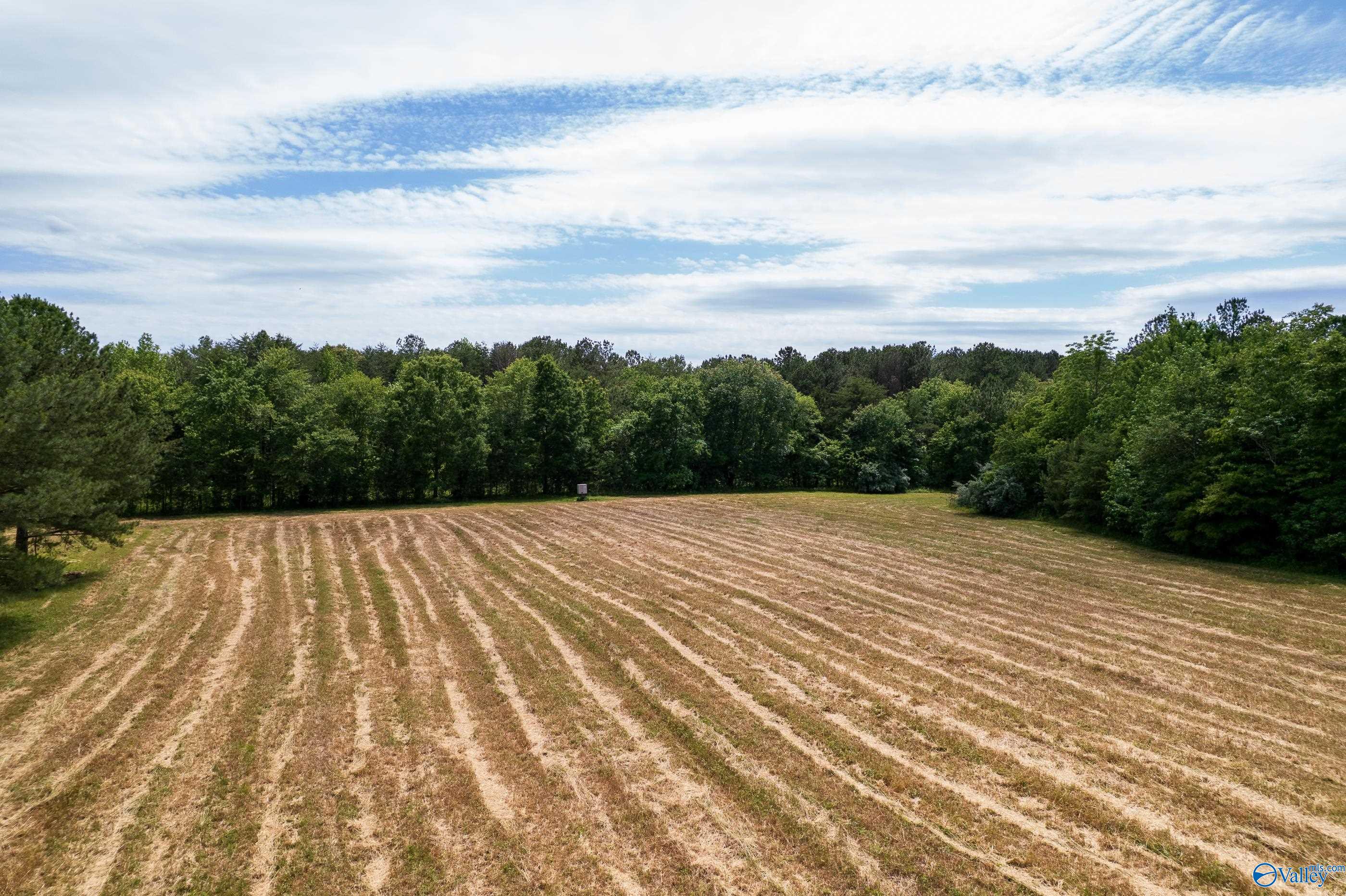 343 County Road 814, Flat Rock, Alabama image 13