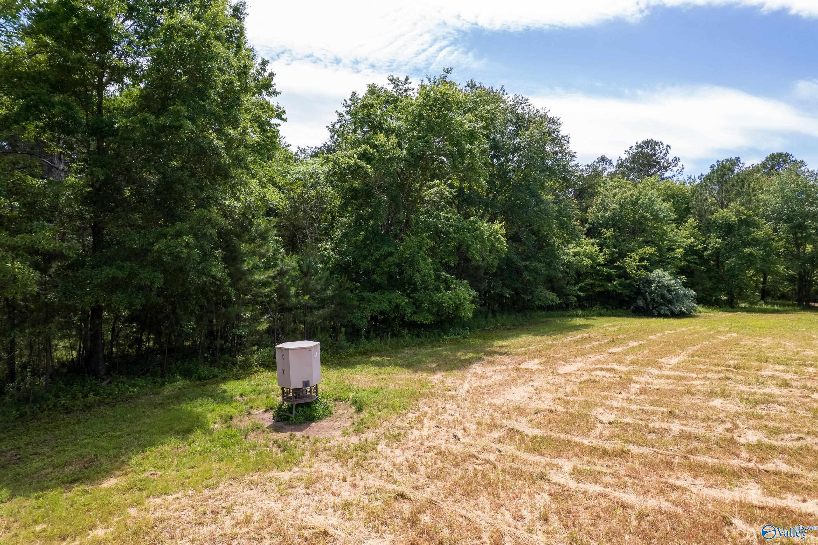 343 County Road 814, Flat Rock, Alabama image 14