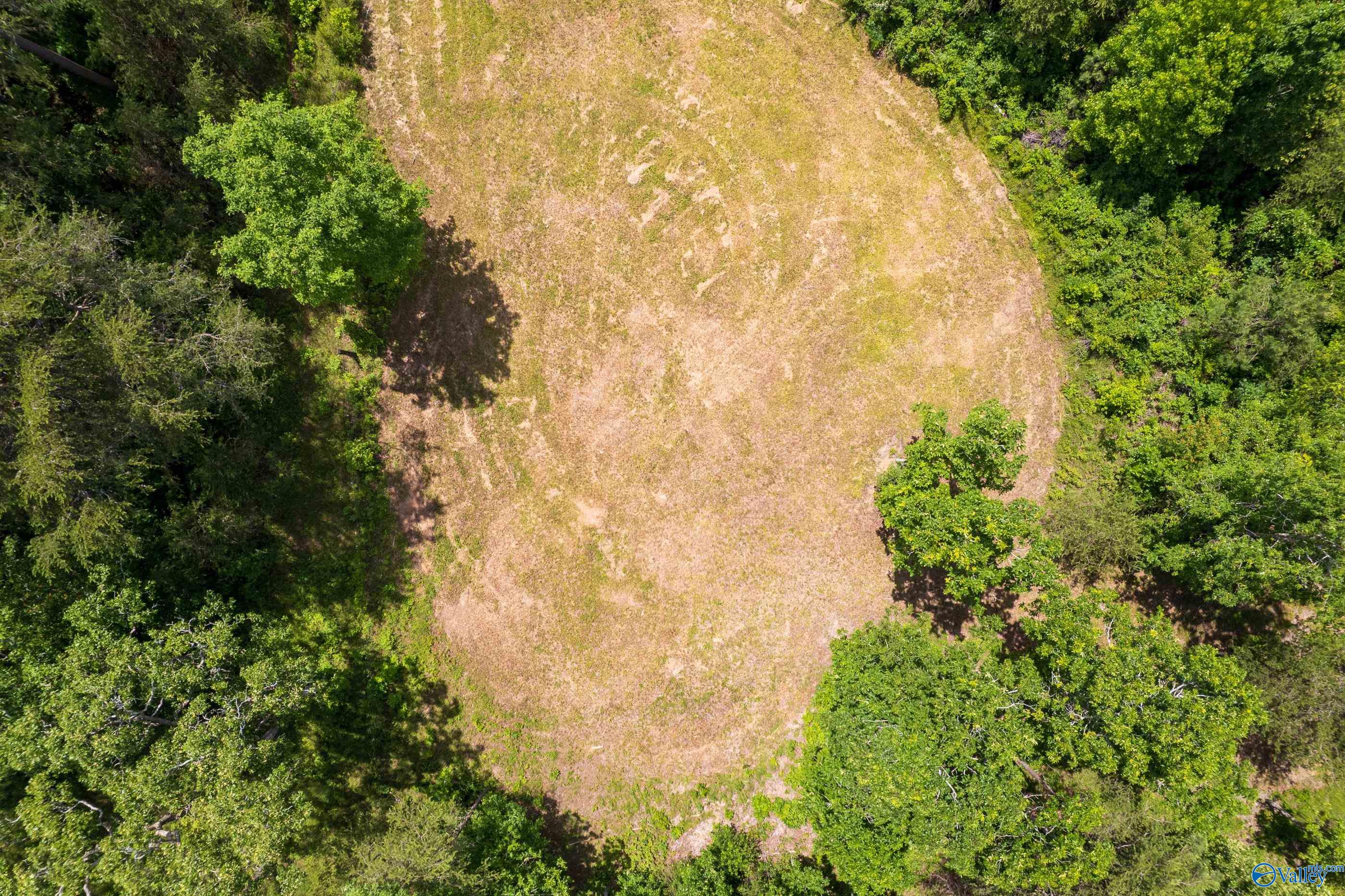 343 County Road 814, Flat Rock, Alabama image 10
