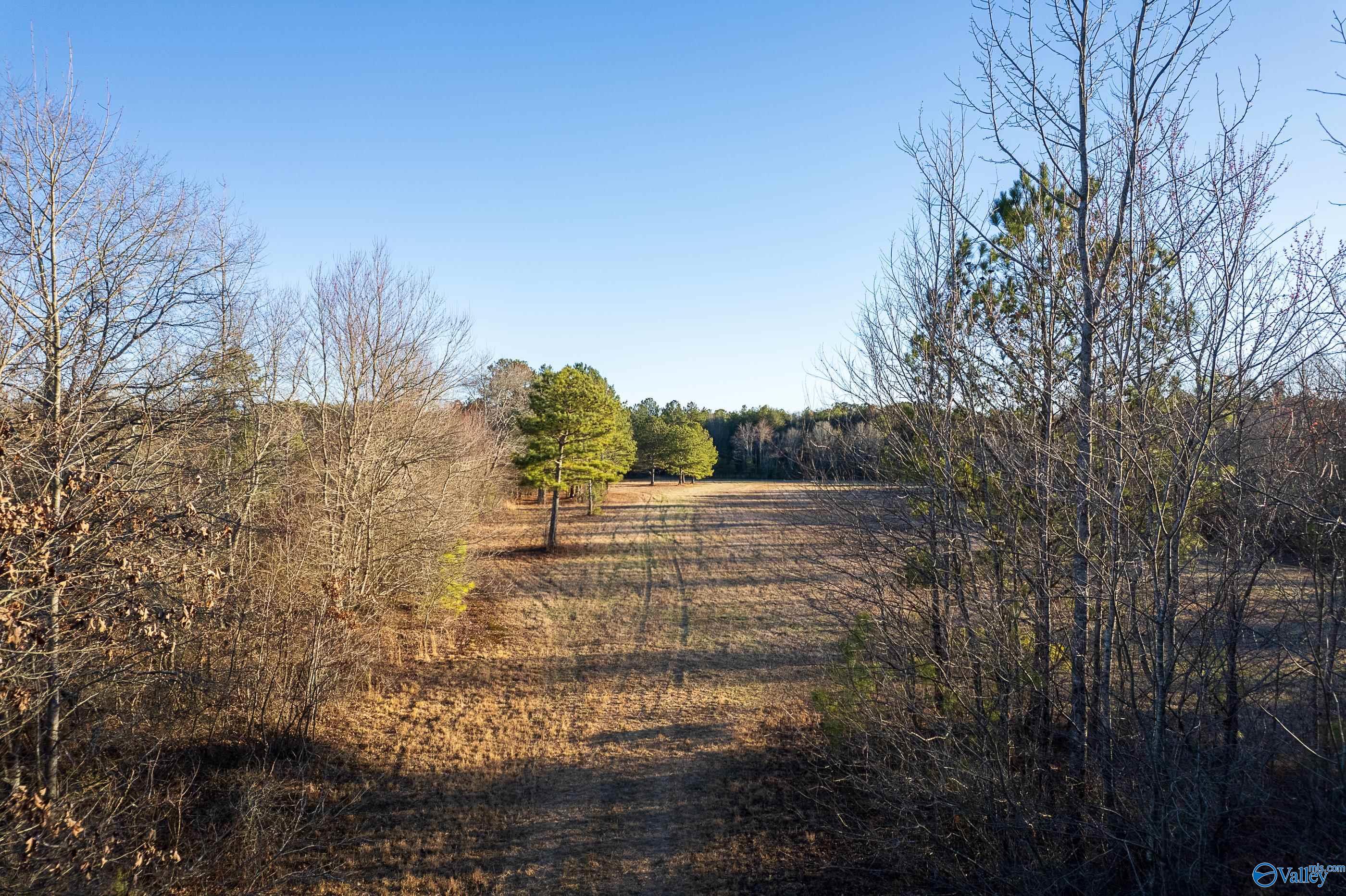 343 County Road 814, Flat Rock, Alabama image 2