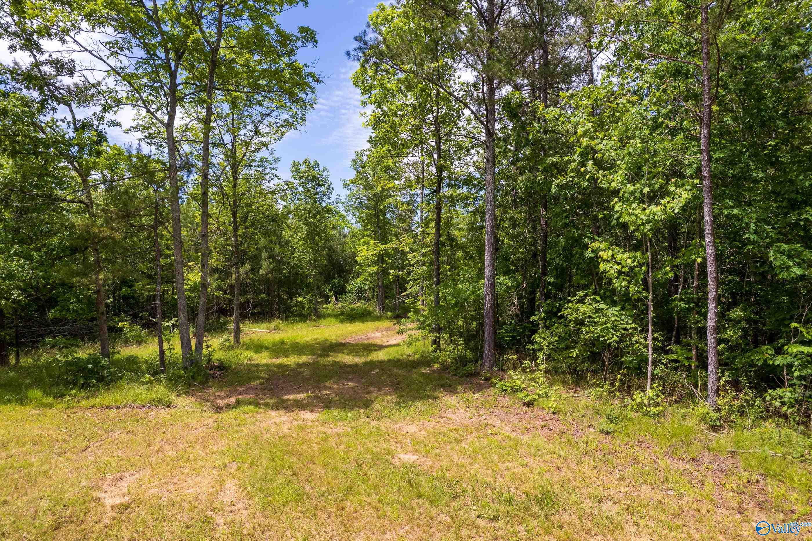 343 County Road 814, Flat Rock, Alabama image 3