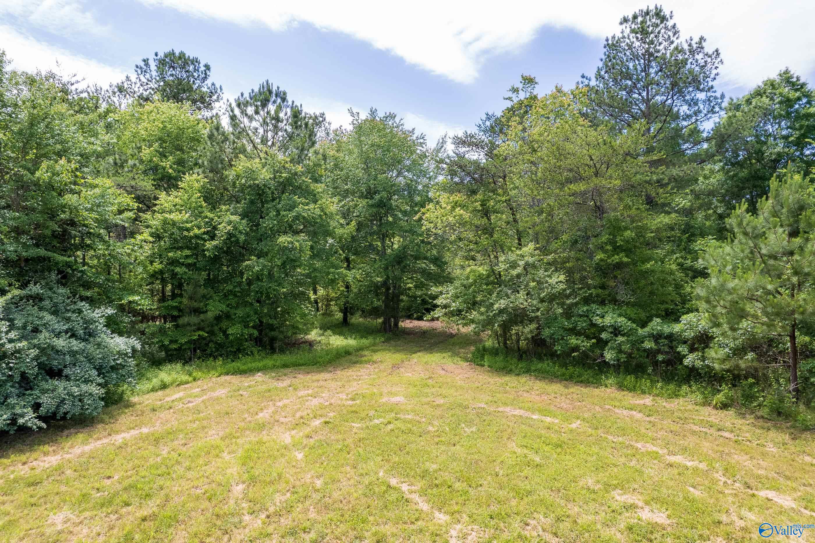343 County Road 814, Flat Rock, Alabama image 15