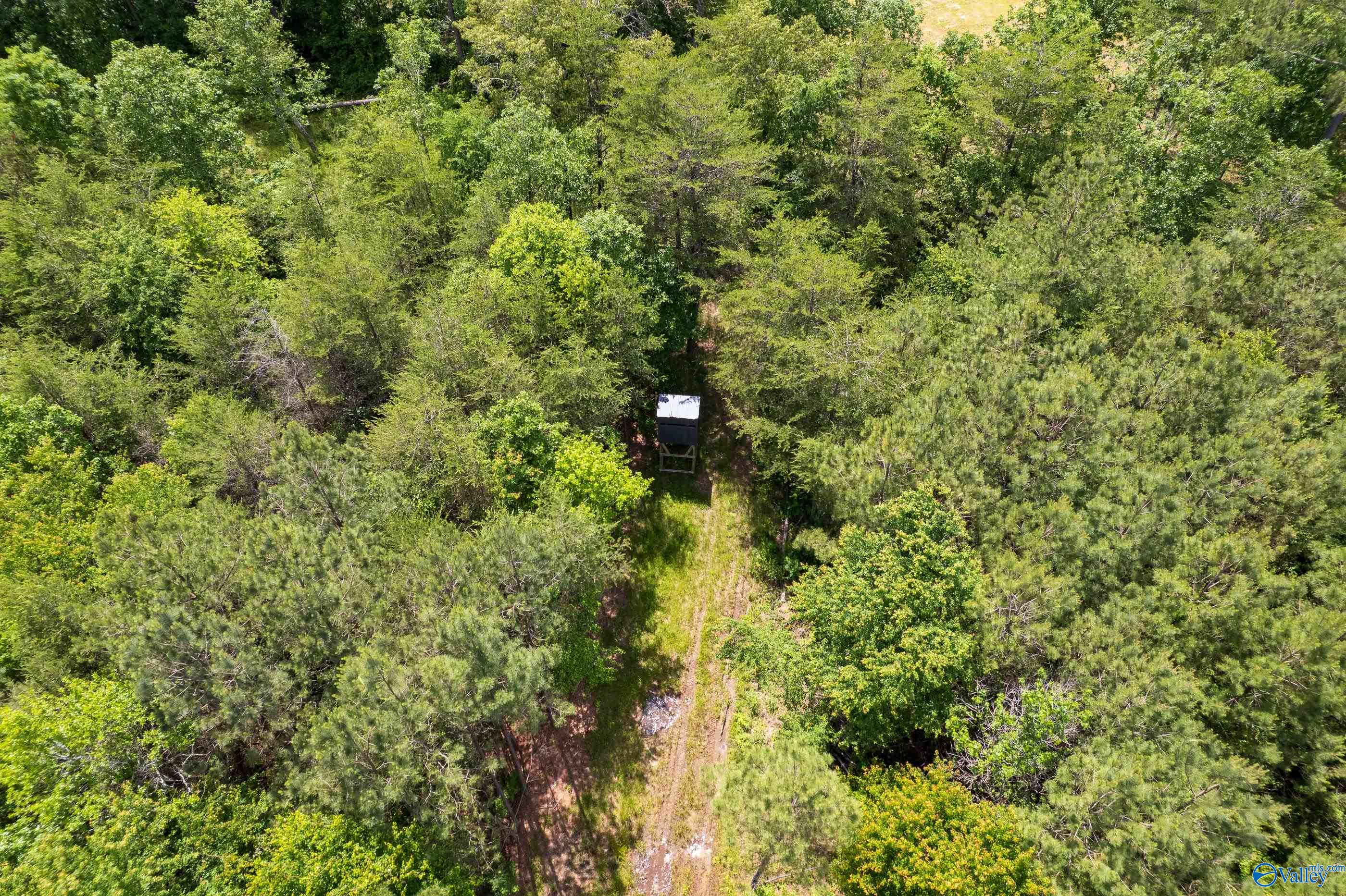 343 County Road 814, Flat Rock, Alabama image 9