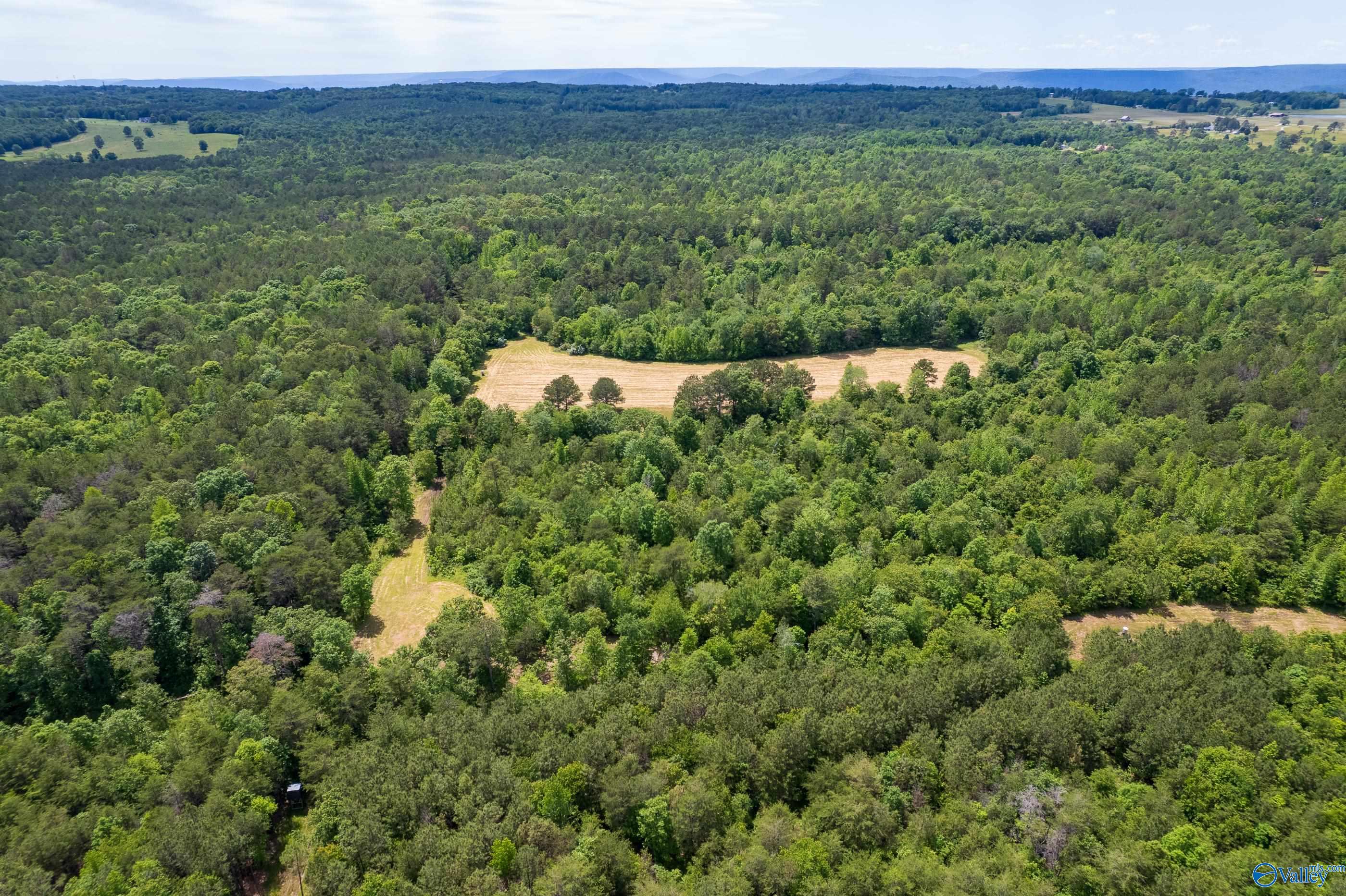 343 County Road 814, Flat Rock, Alabama image 8
