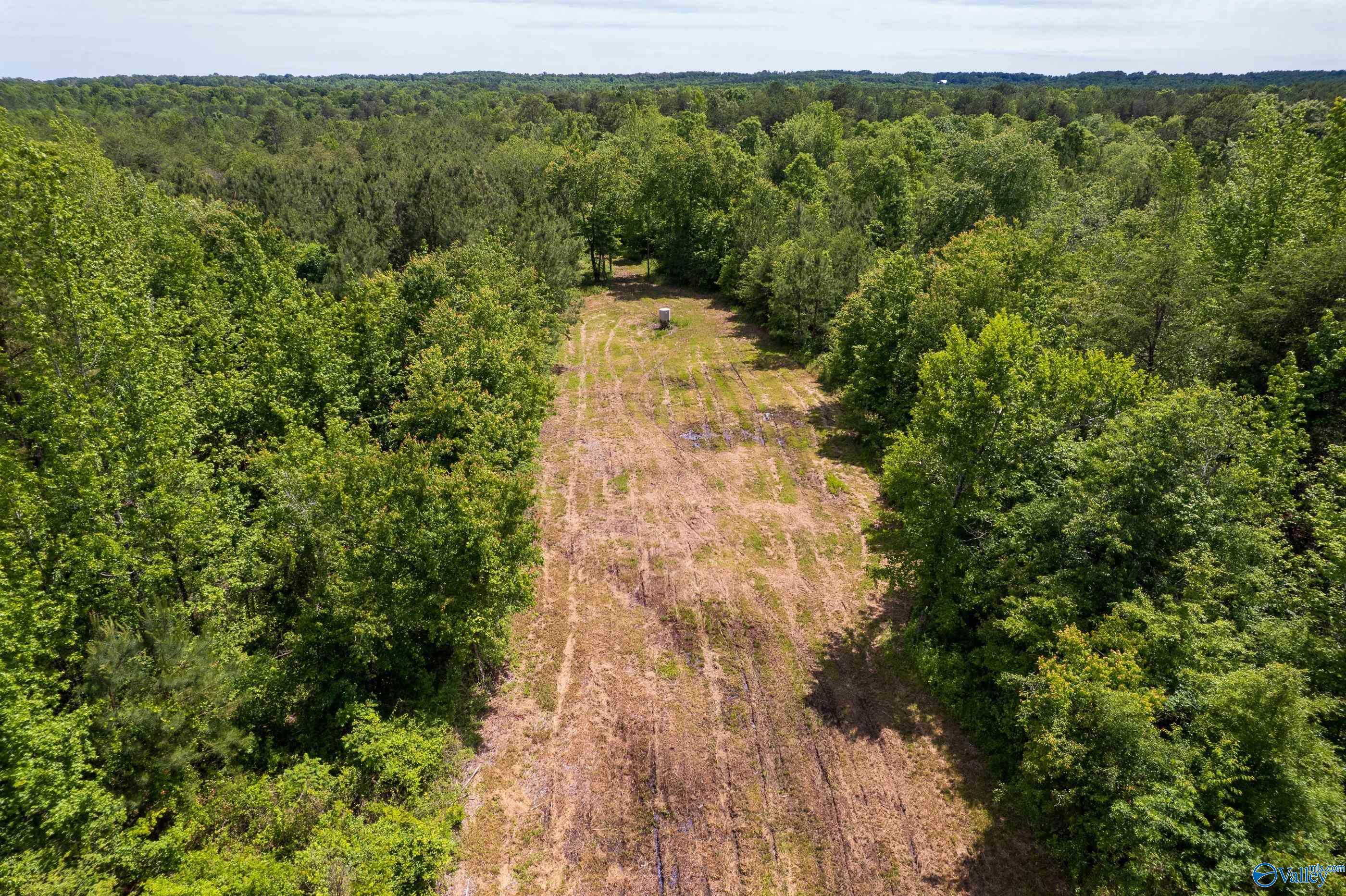 343 County Road 814, Flat Rock, Alabama image 12
