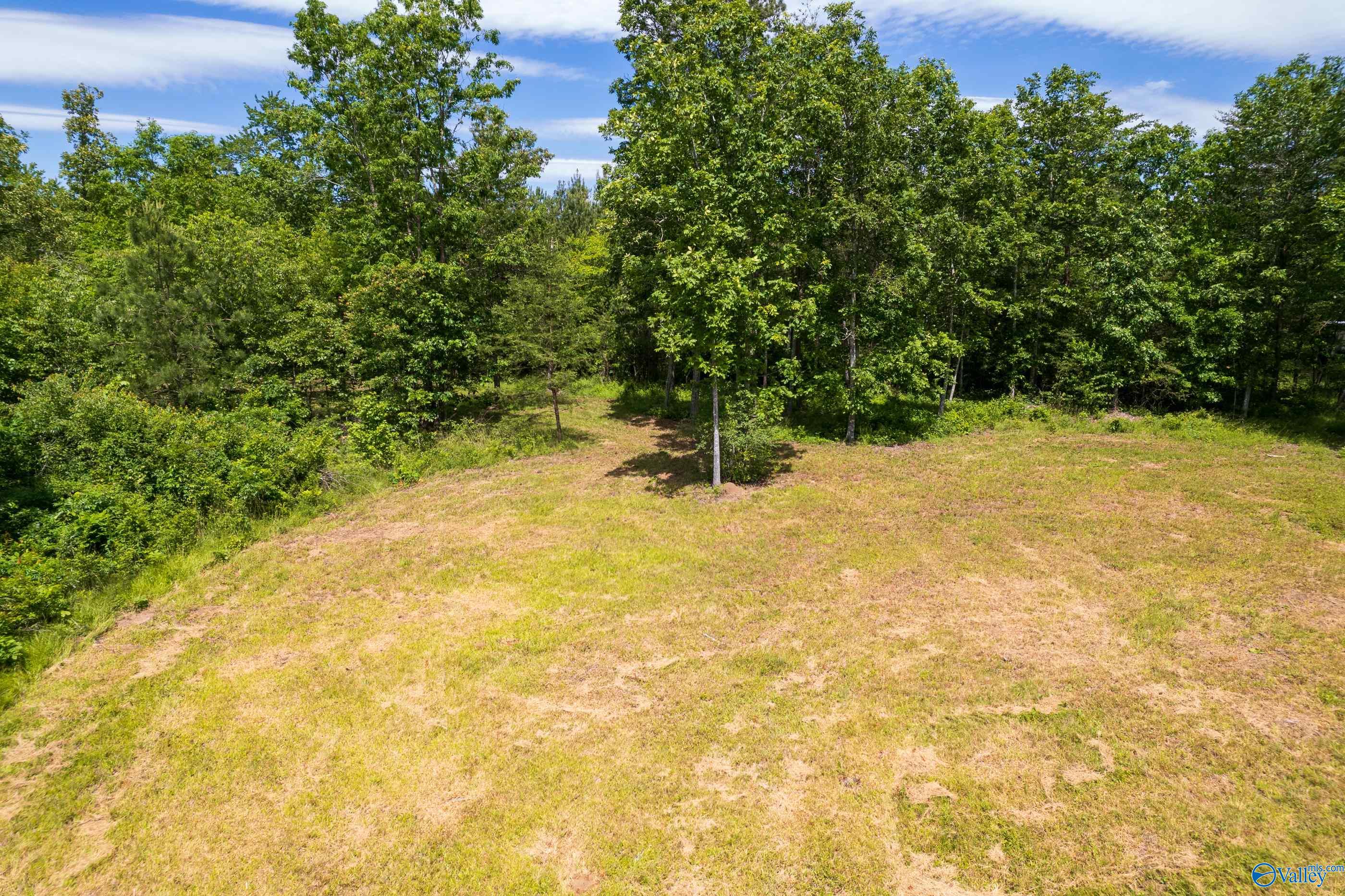 343 County Road 814, Flat Rock, Alabama image 11
