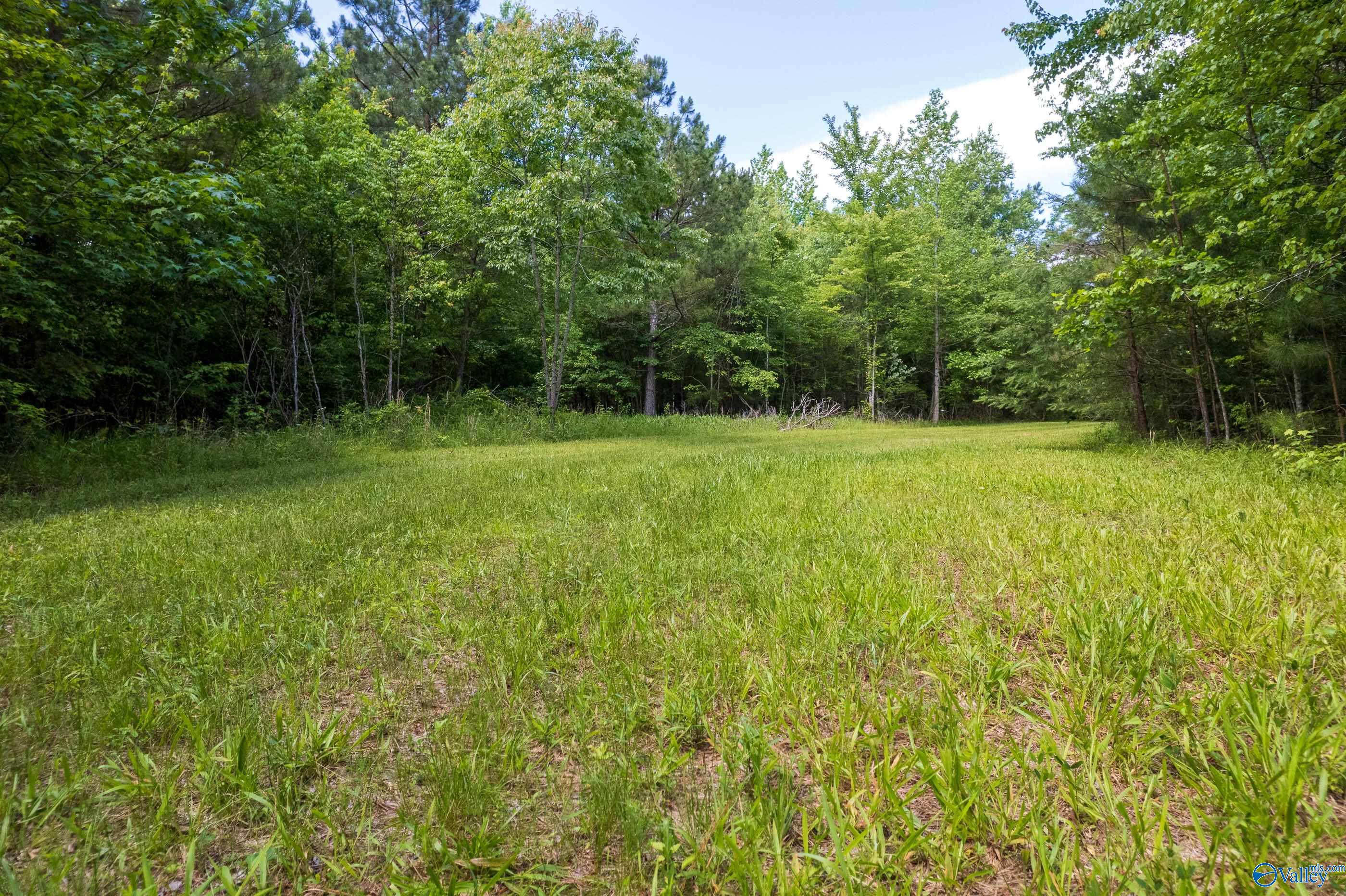 343 County Road 814, Flat Rock, Alabama image 2