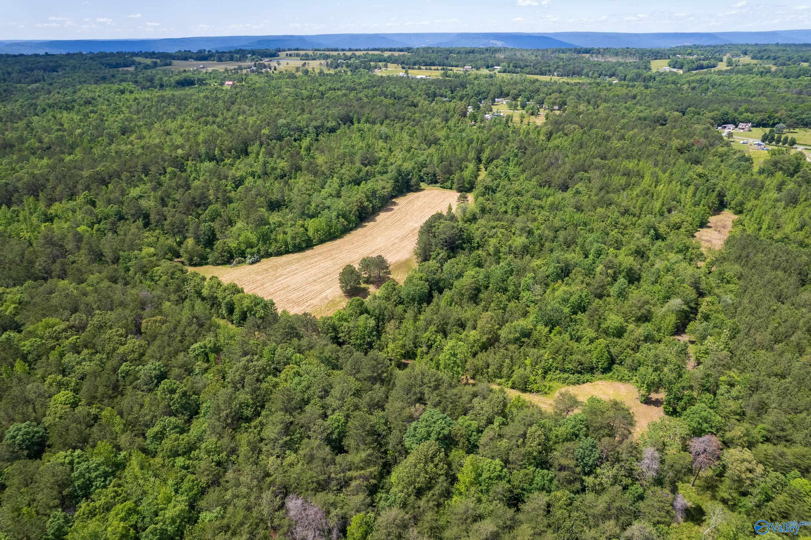 343 County Road 814, Flat Rock, Alabama image 7