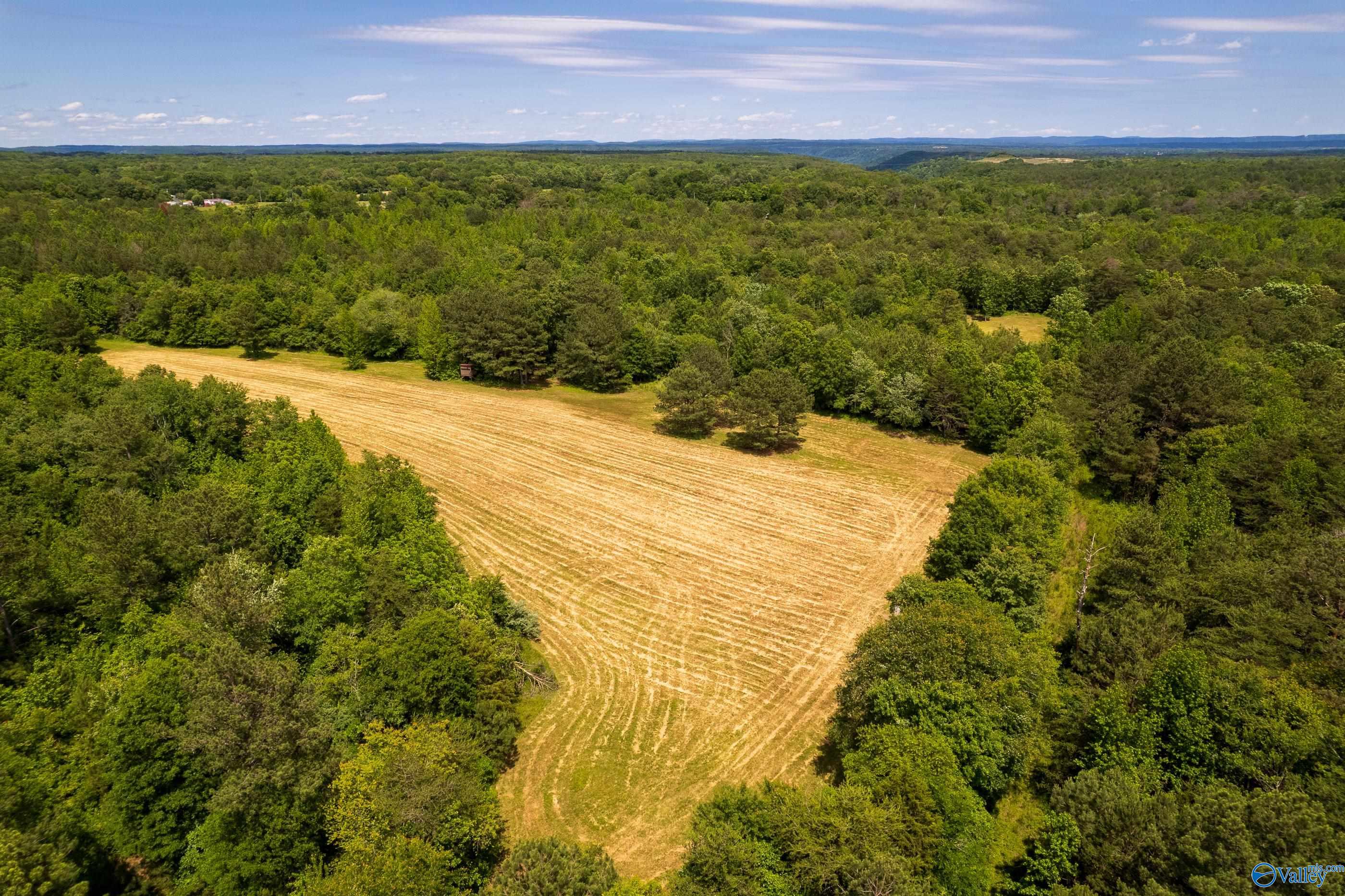 343 County Road 814, Flat Rock, Alabama image 6