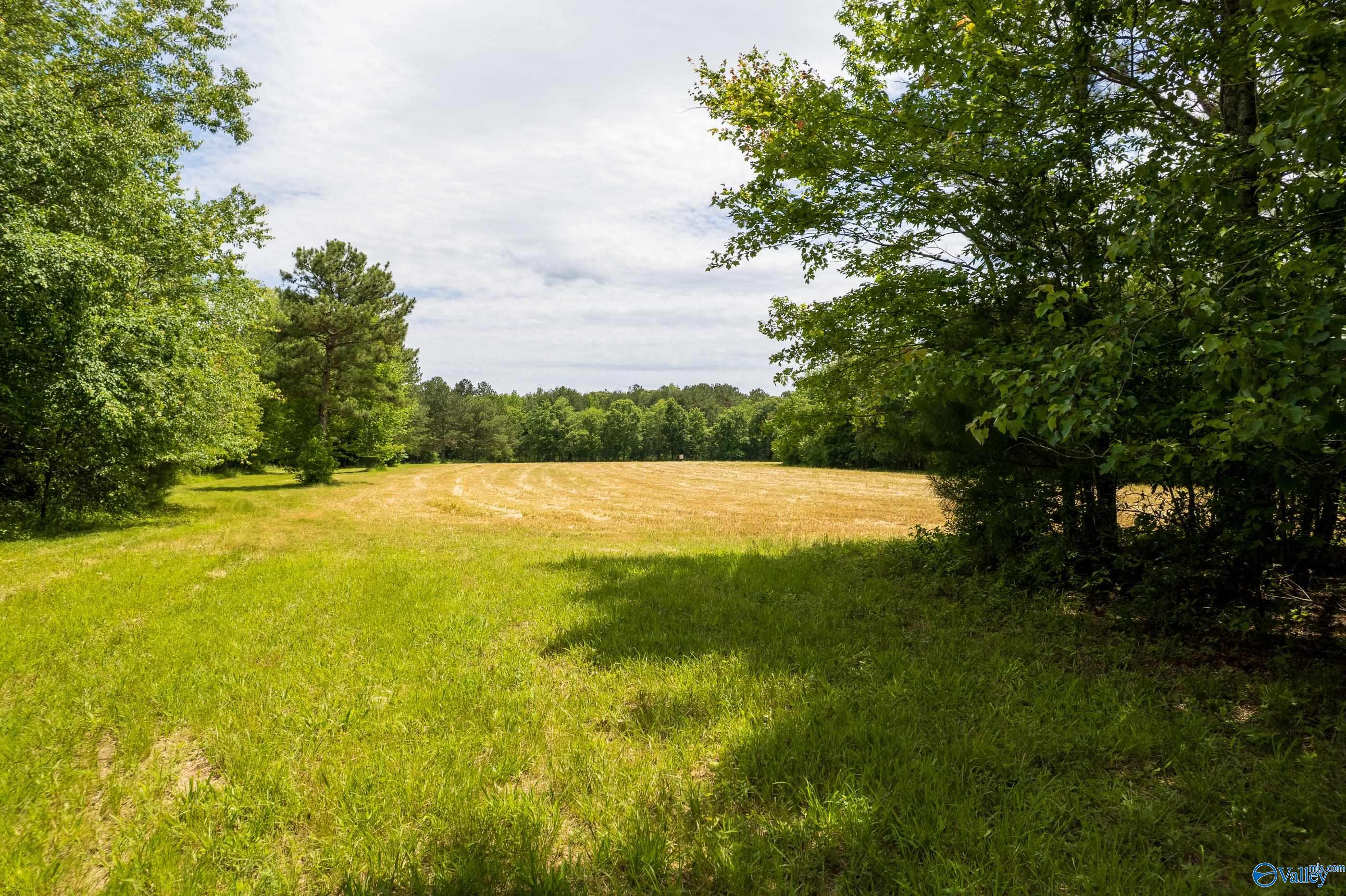 343 County Road 814, Flat Rock, Alabama image 1