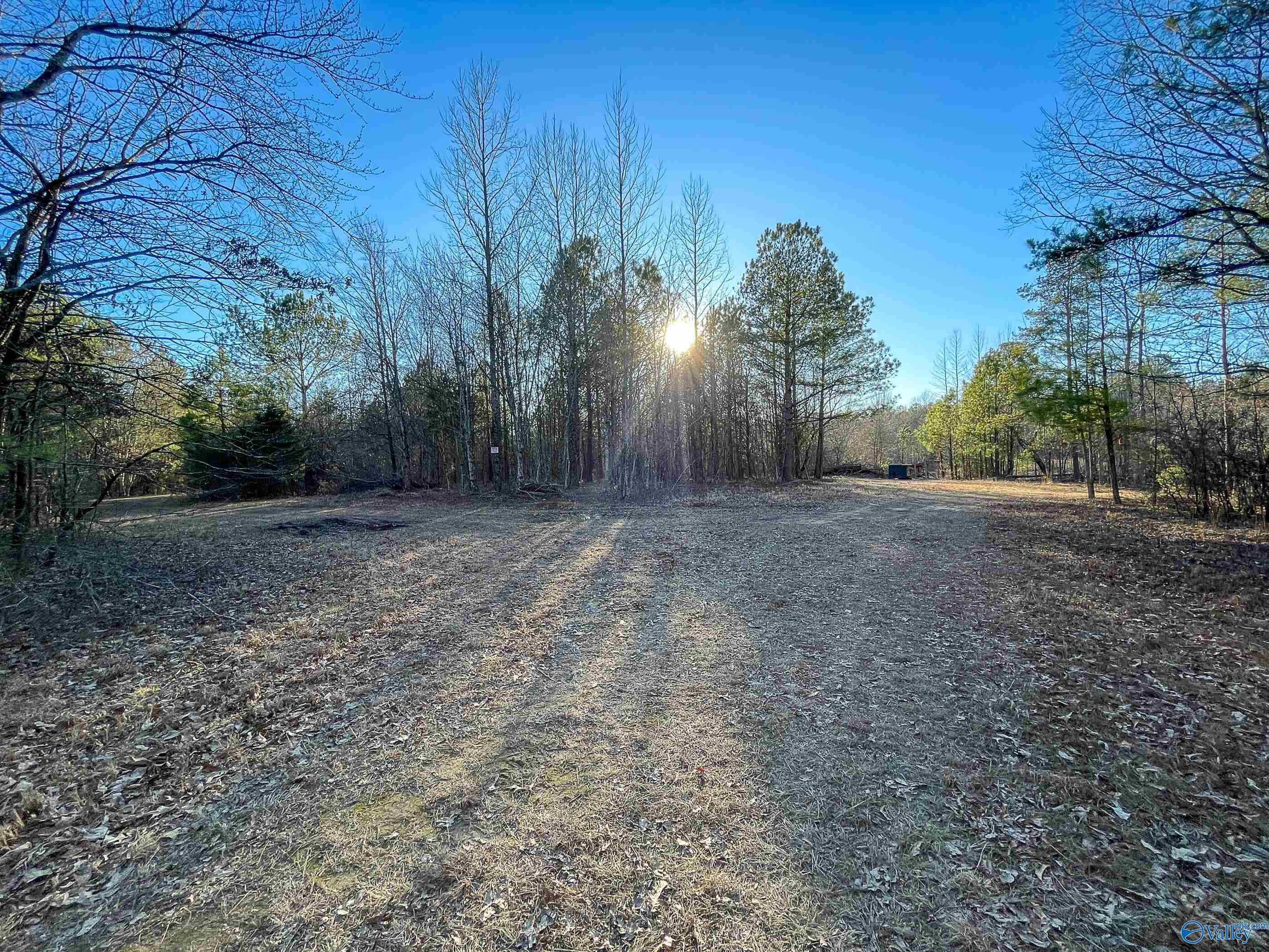 343 County Road 814, Flat Rock, Alabama image 8