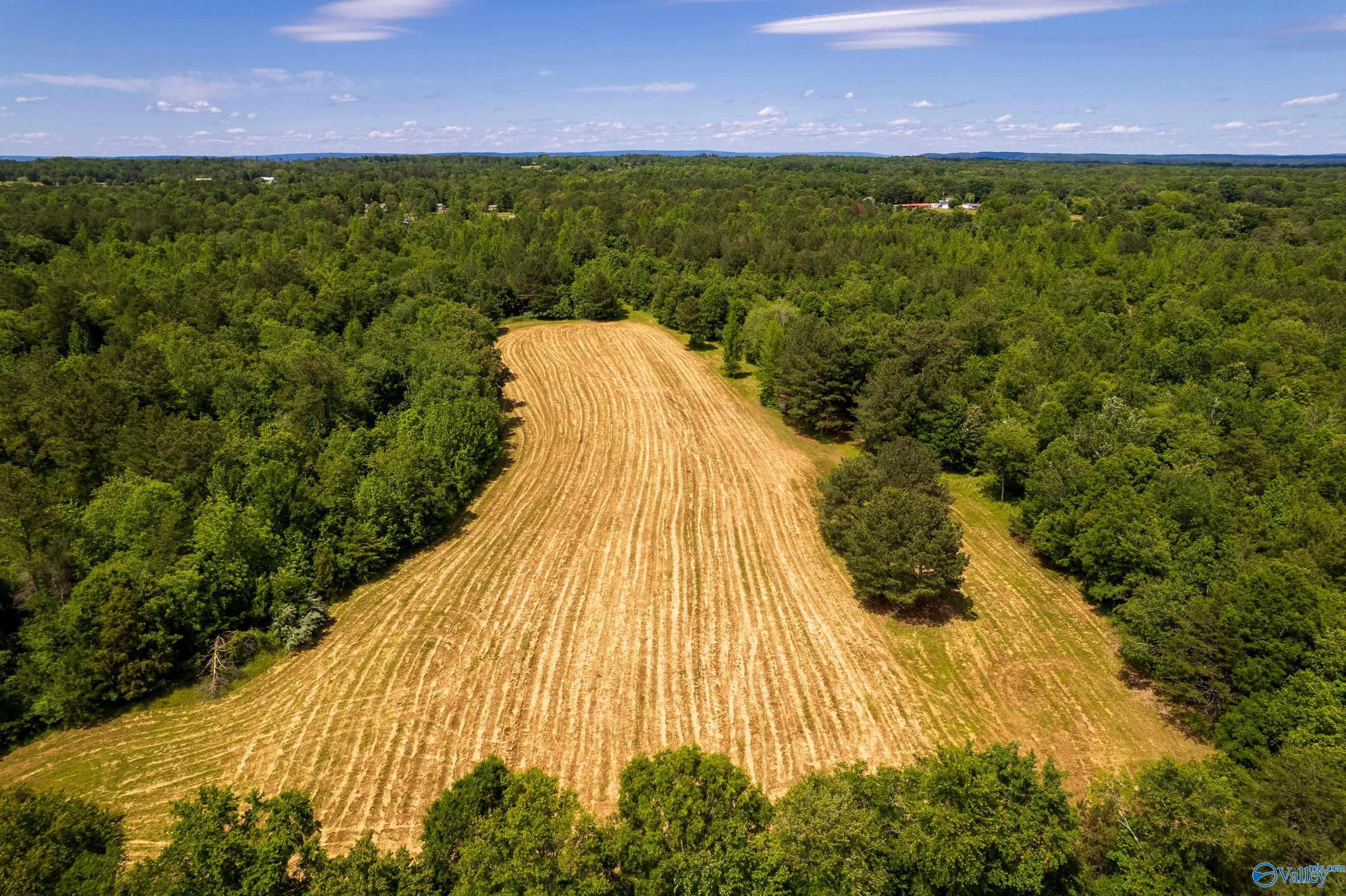 343 County Road 814, Flat Rock, Alabama image 5