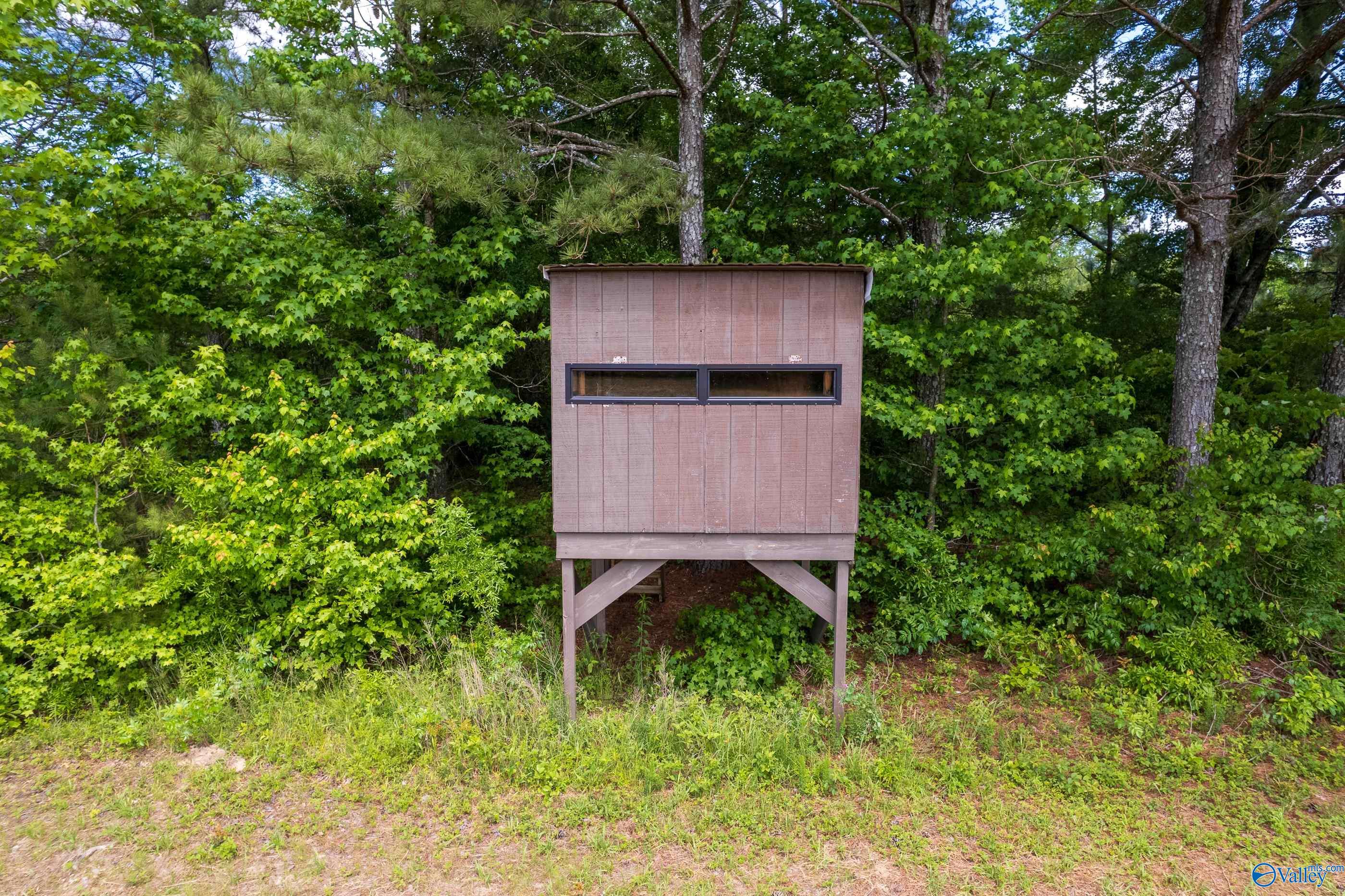 343 County Road 814, Flat Rock, Alabama image 17
