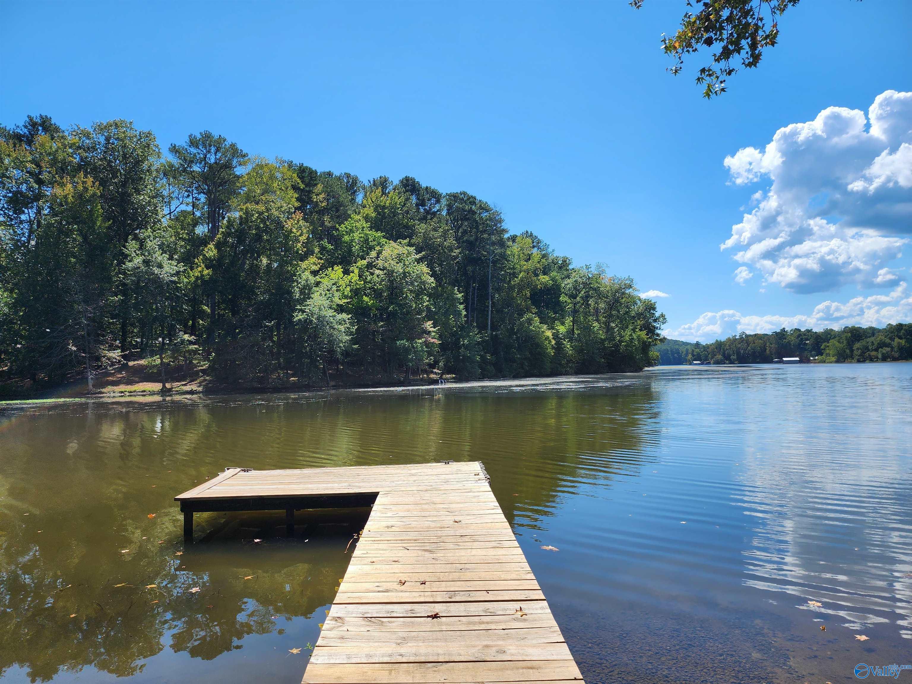 Lots 9-10 Shoreland Circle, Scottsboro, Alabama image 8