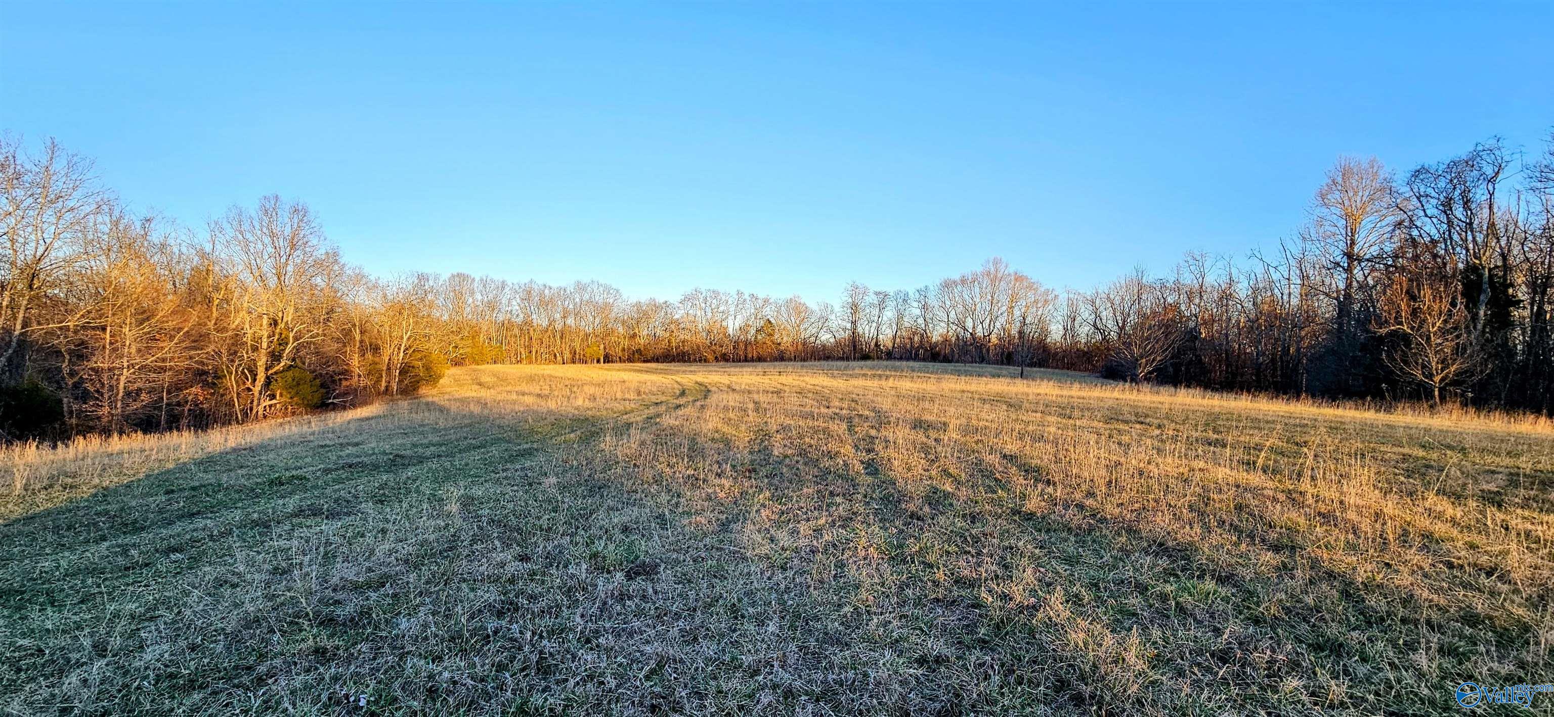 1820 Petty Hollow Road, Lynnville, Tennessee image 32