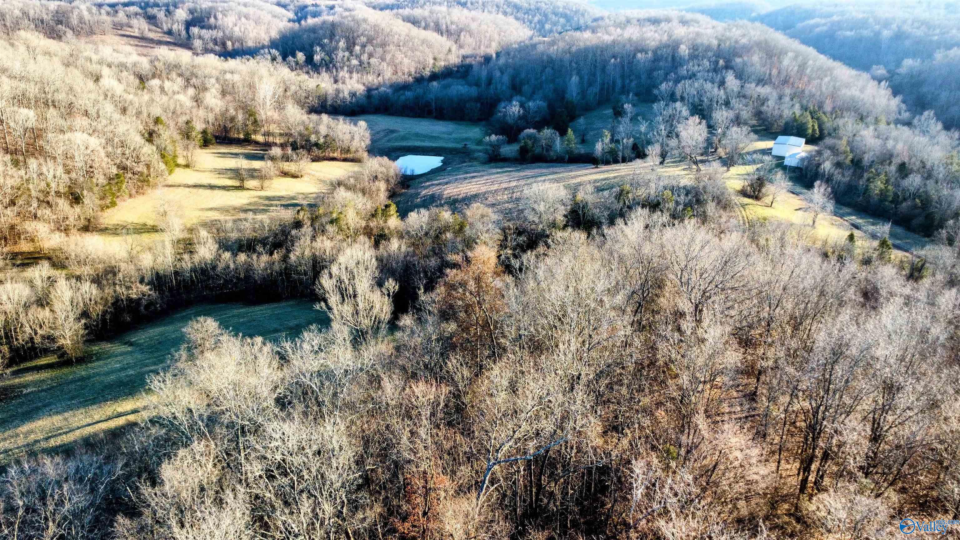 1820 Petty Hollow Road, Lynnville, Tennessee image 37