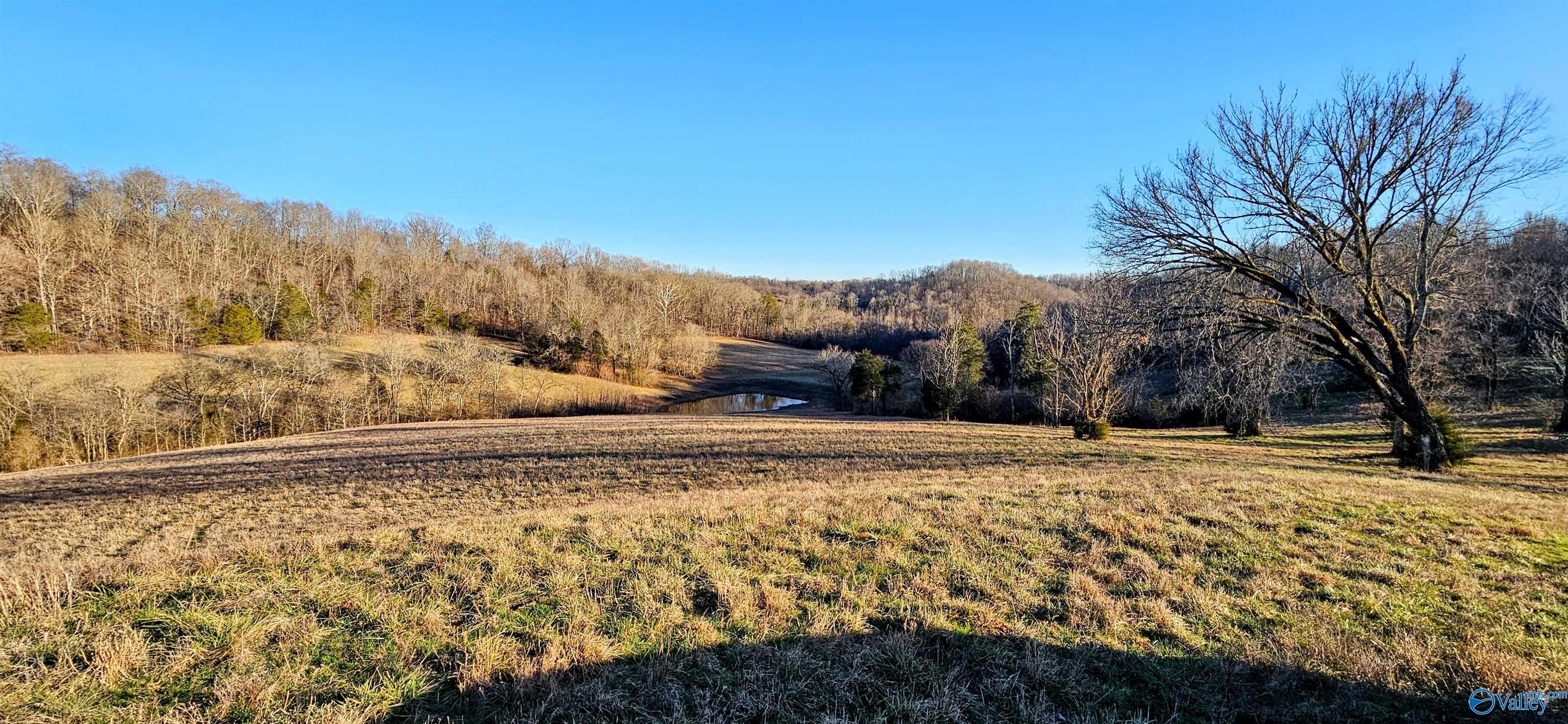 1820 Petty Hollow Road, Lynnville, Tennessee image 31