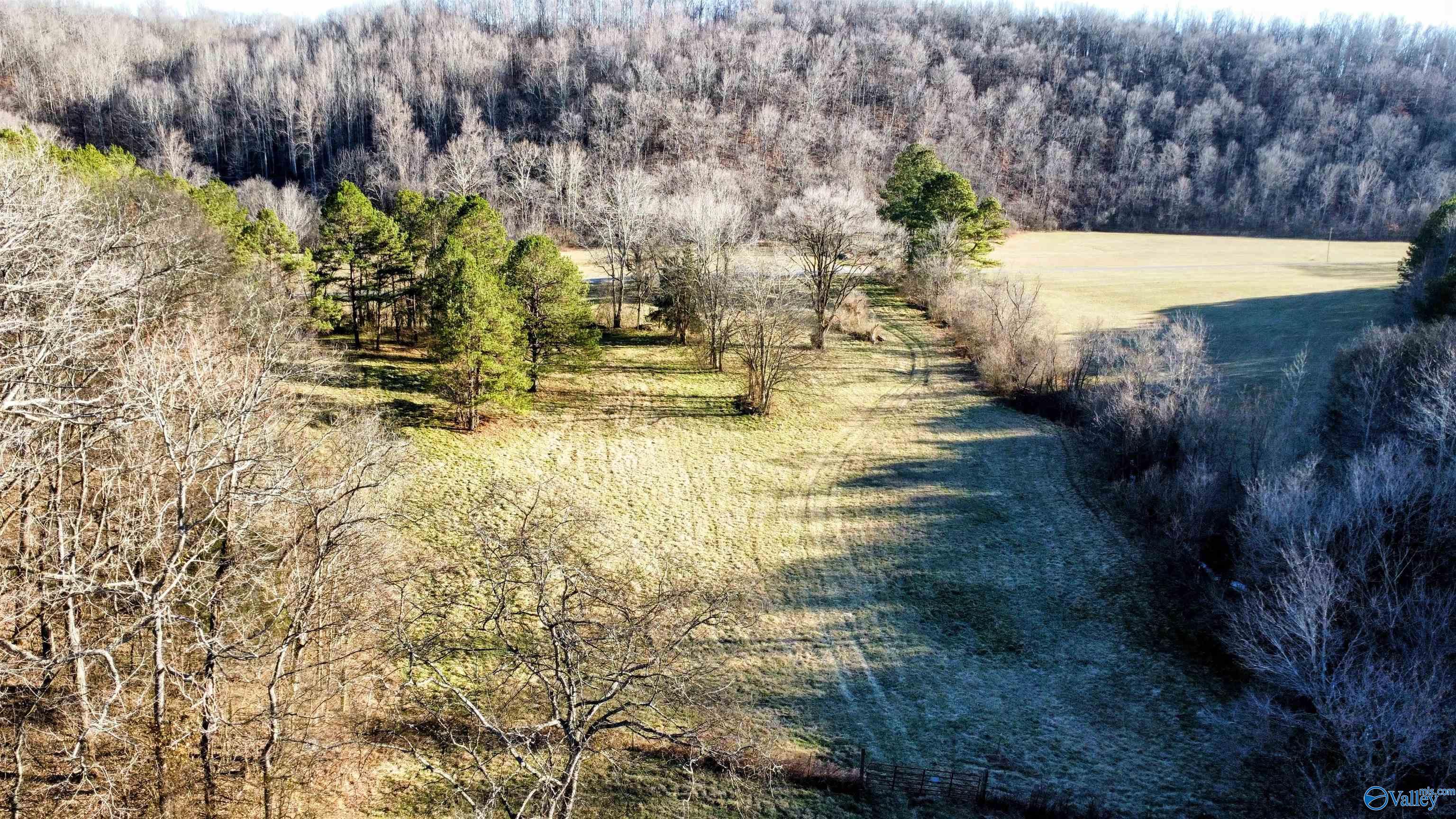 1820 Petty Hollow Road, Lynnville, Tennessee image 33