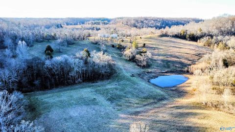 Vacant Land For Sale - 1820 Petty Hollow Road<br/> Lynnville, TN 38472