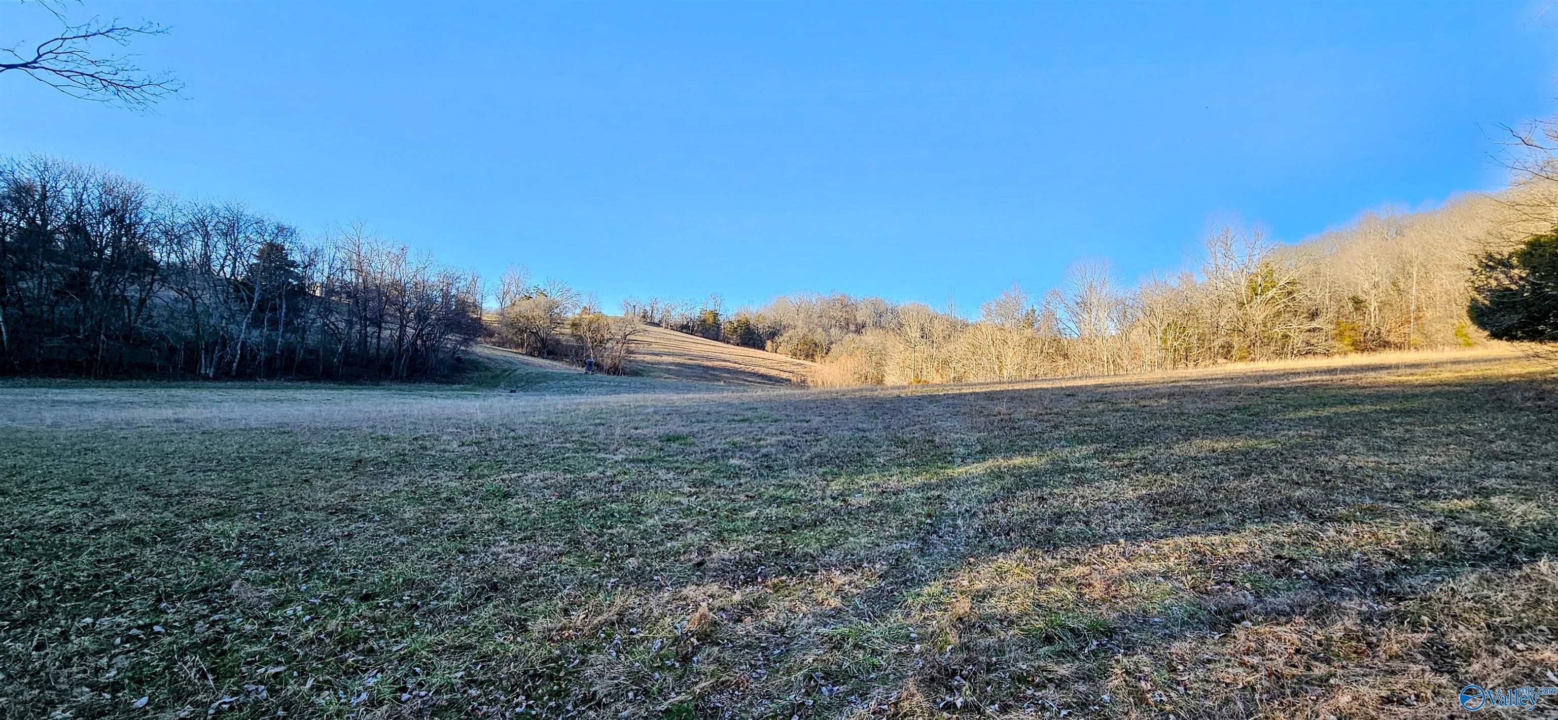 1820 Petty Hollow Road, Lynnville, Tennessee image 28