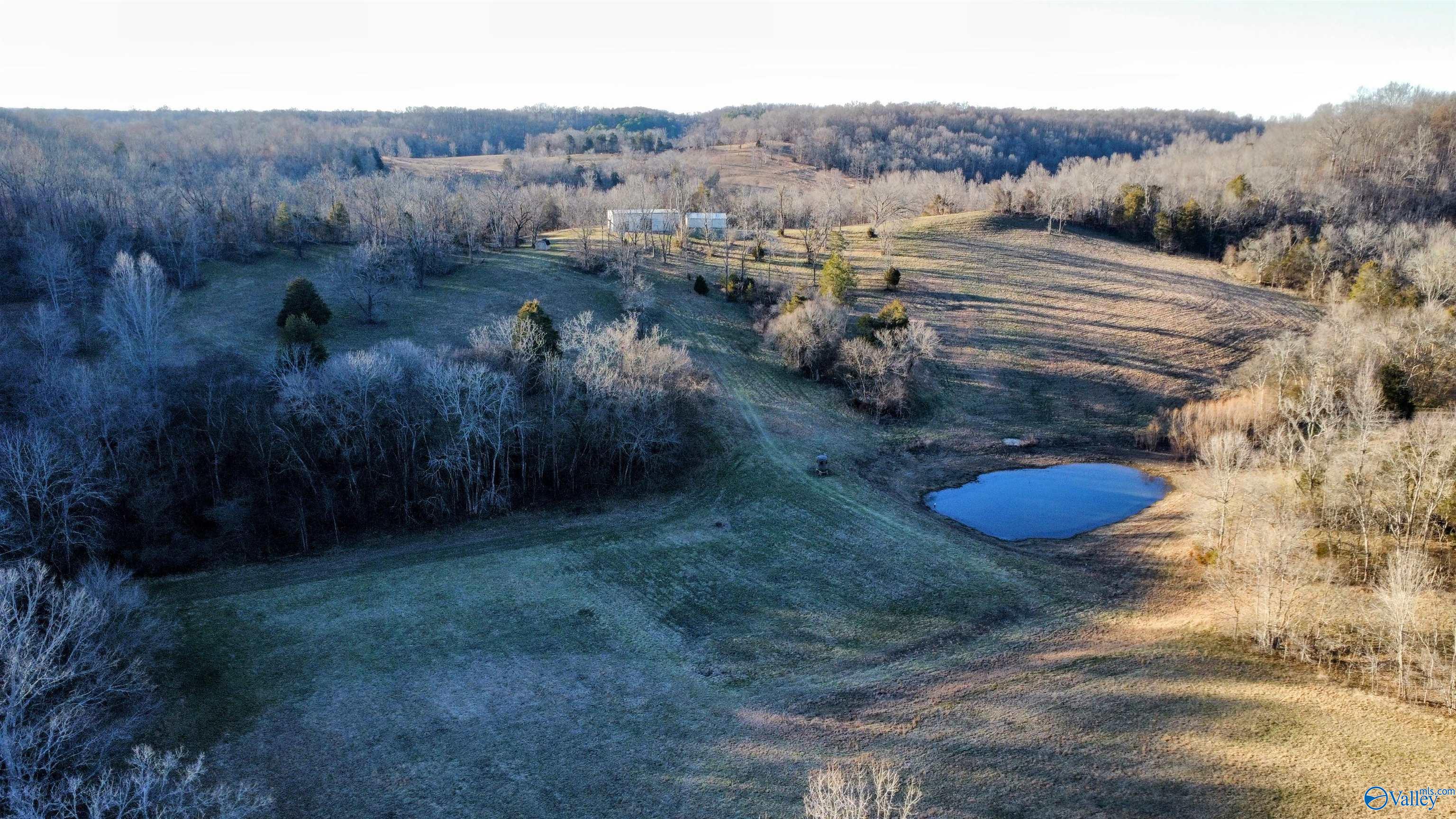 1820 Petty Hollow Road, Lynnville, Tennessee image 35