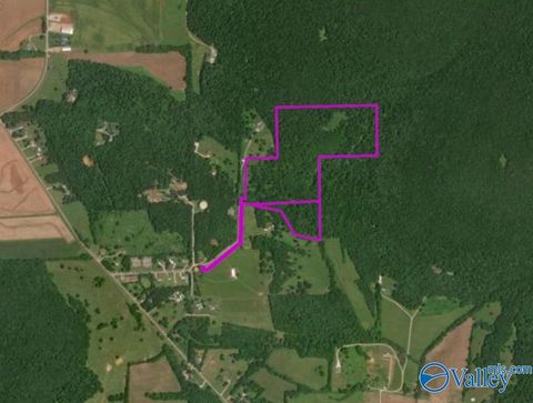 Vacant Land For Sale - 45+- ACRES Marvaline Drive<br/> Madison County, New Market, AL 35761