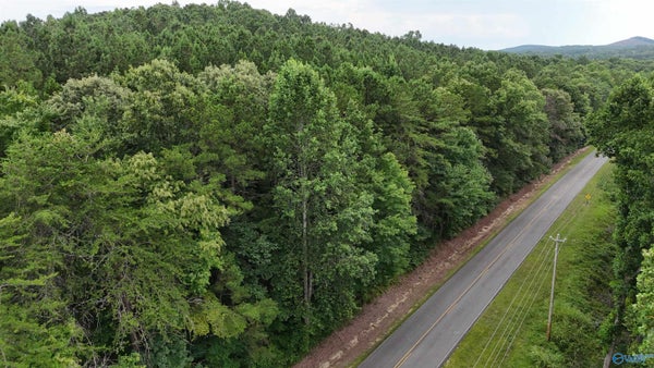 3 COUNTY RD 41, GAYLESVILLE, AL 35973 - Image fe3473942b3ffa54f90b409276be6126/1023691206