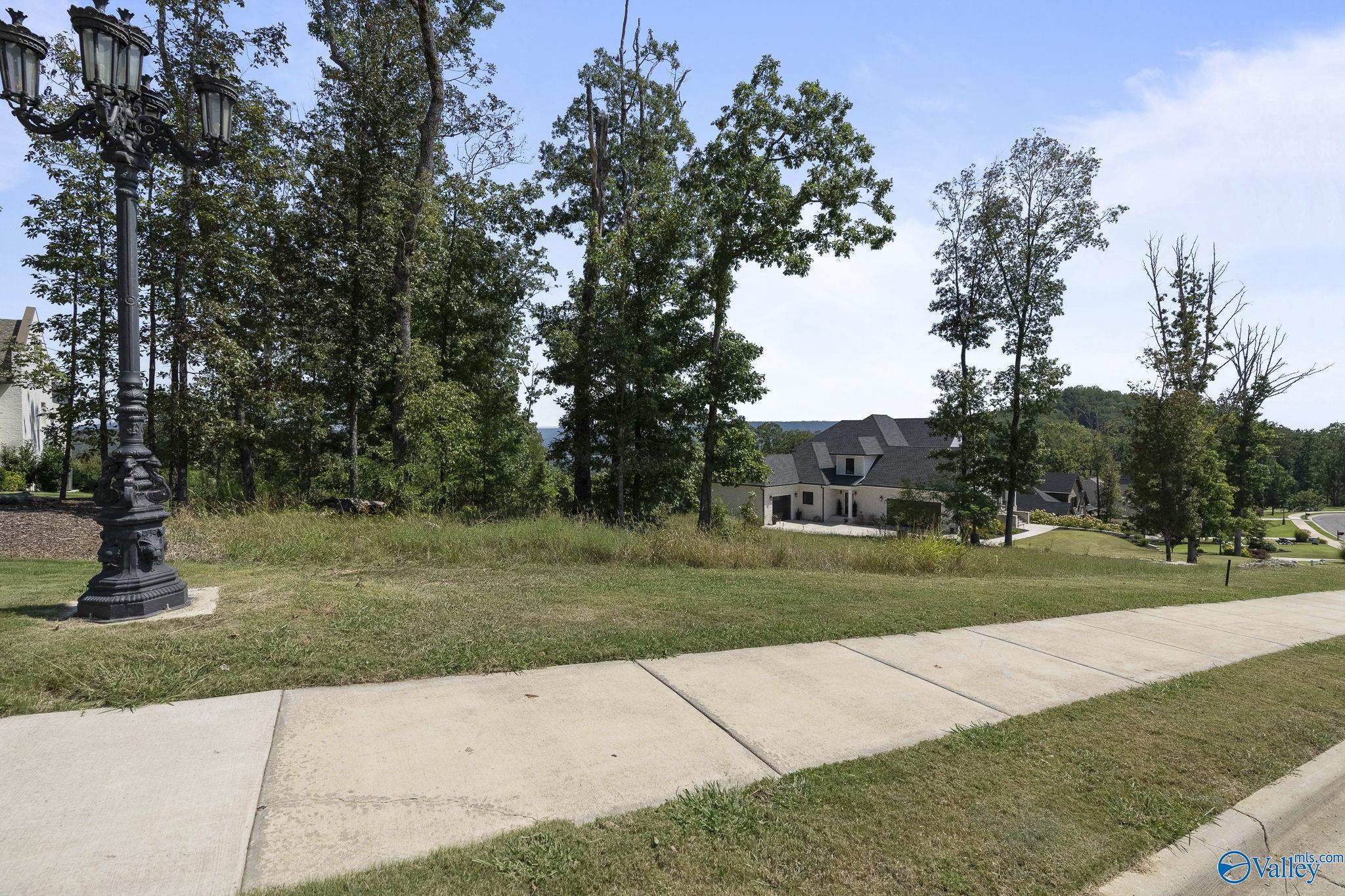 Owens Cross Roads, Alabama 35763, United States, ,Land,Active,213941