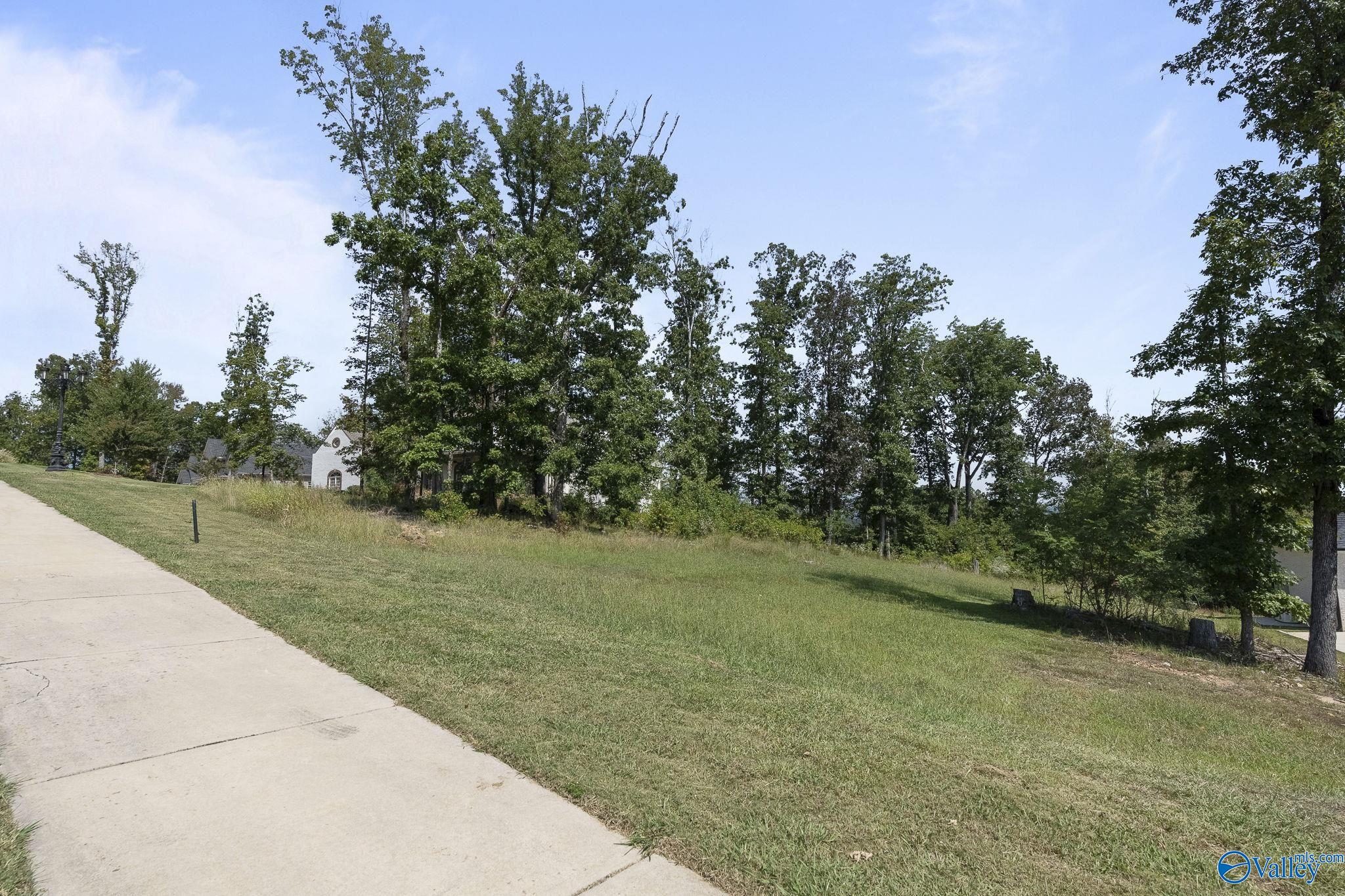 Owens Cross Roads, Alabama 35763, United States, ,Land,Active,213941