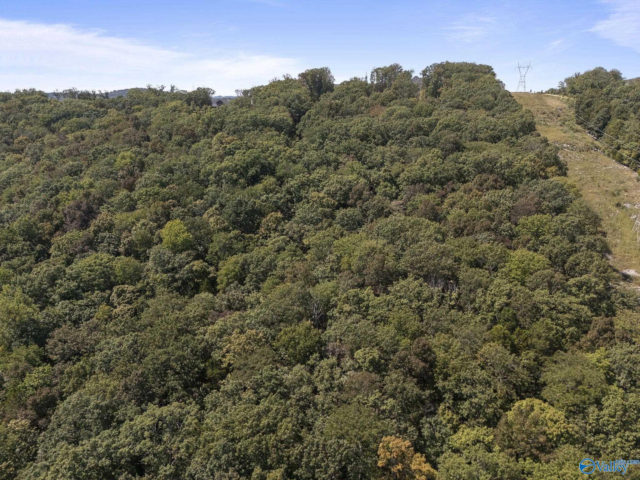 Owens Cross Roads, Alabama 35763, United States, ,Land,Active,213941