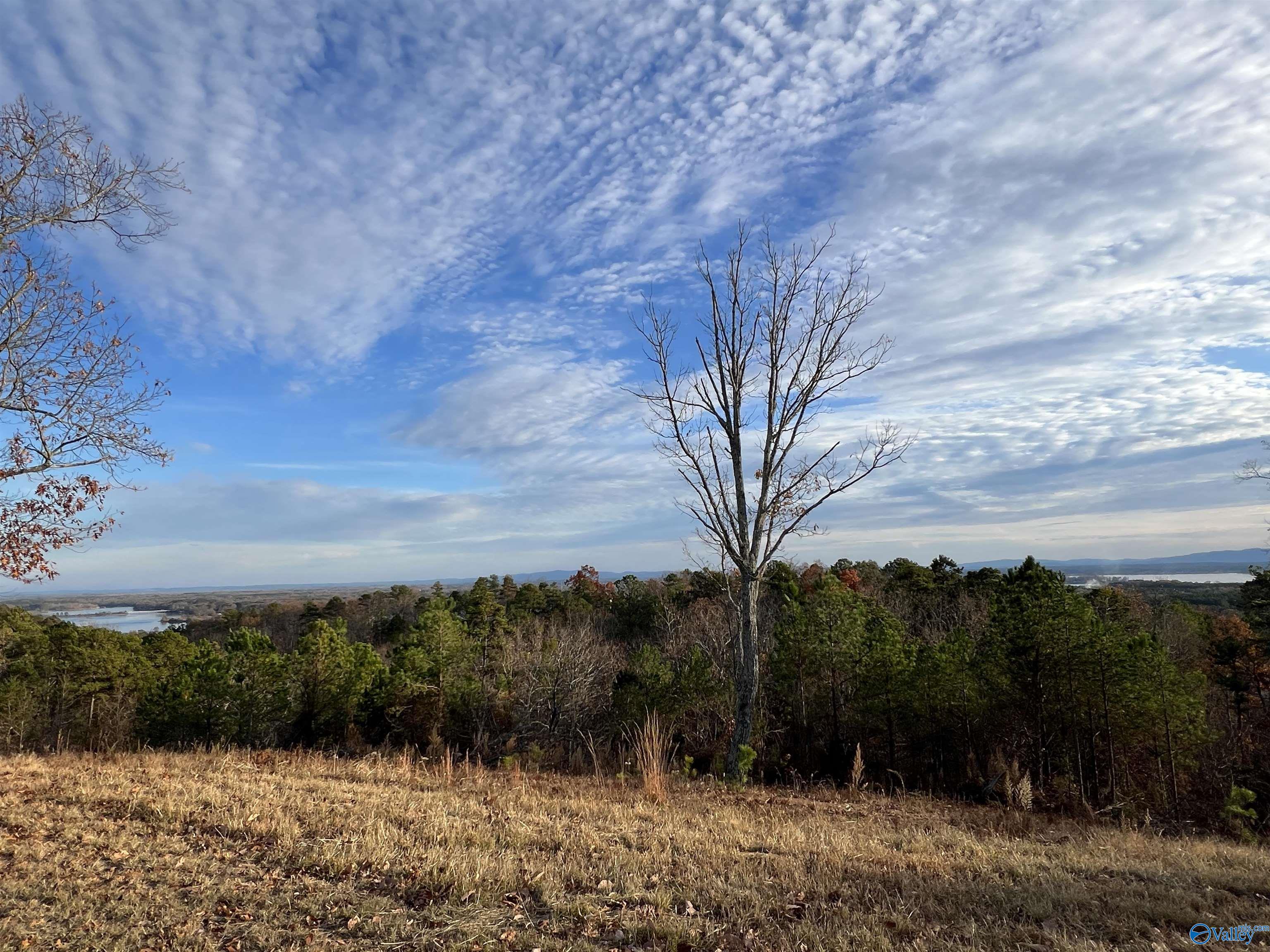 LOT 56 County Road 767, Cedar Bluff, Alabama image 3