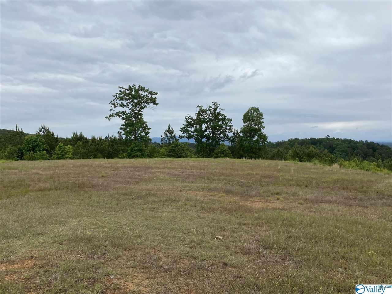 LOT 56 County Road 767, Cedar Bluff, Alabama image 11