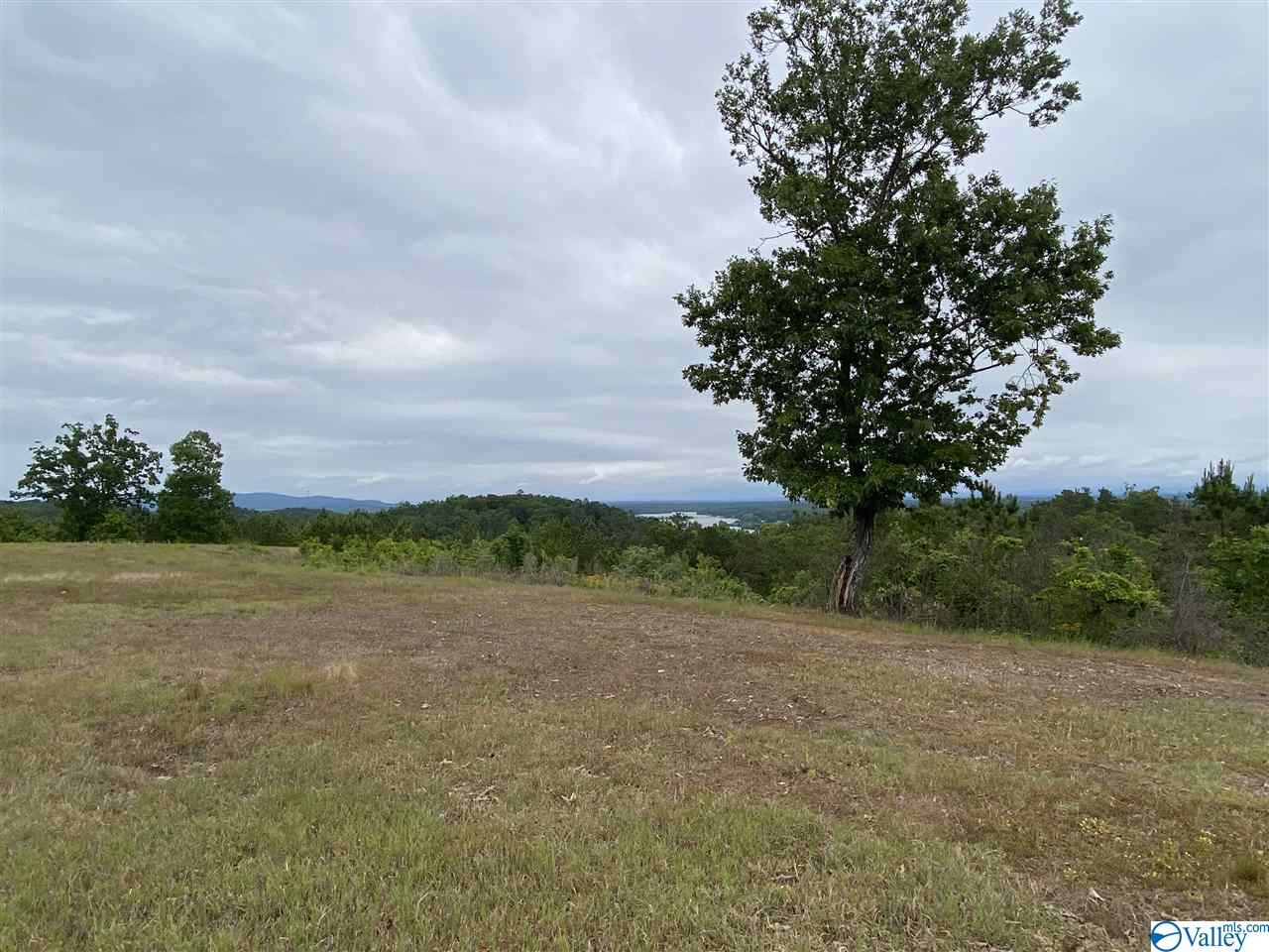 LOT 56 County Road 767, Cedar Bluff, Alabama image 10