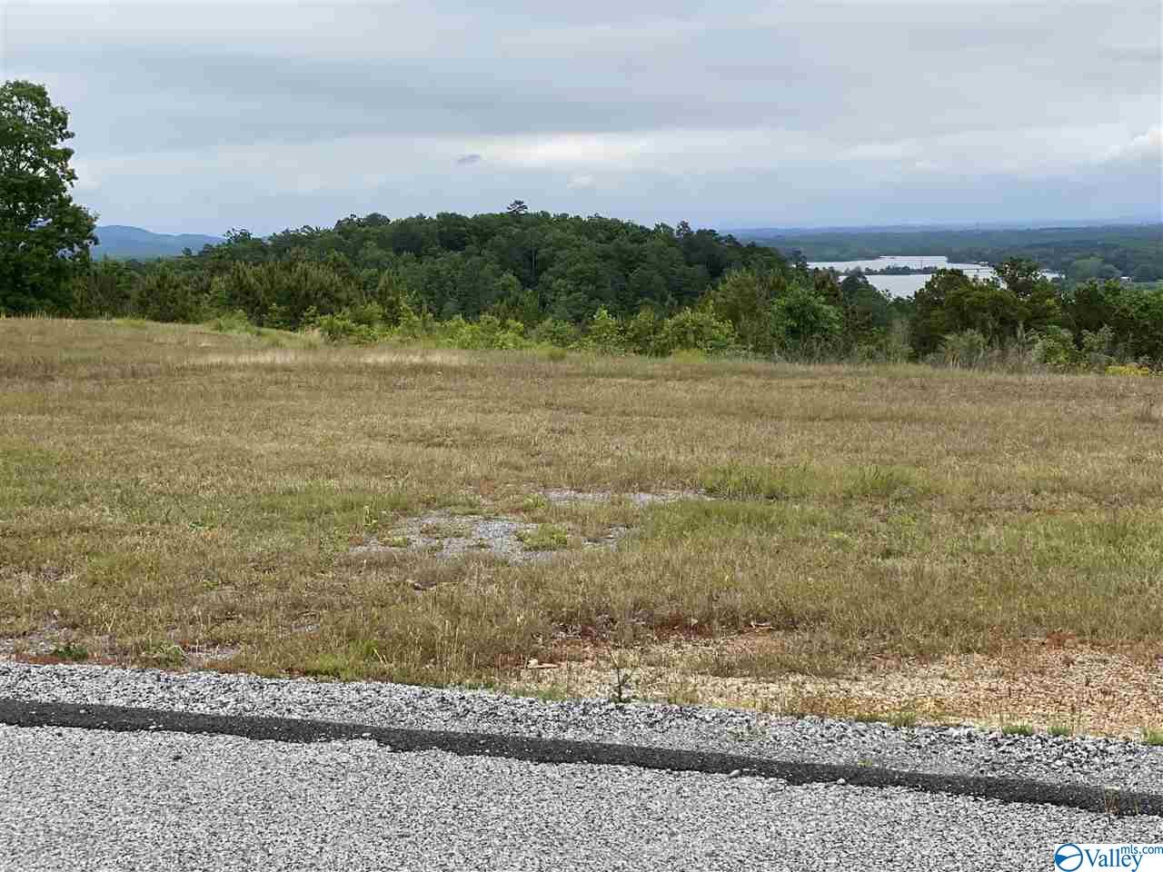 LOT 56 County Road 767, Cedar Bluff, Alabama image 8