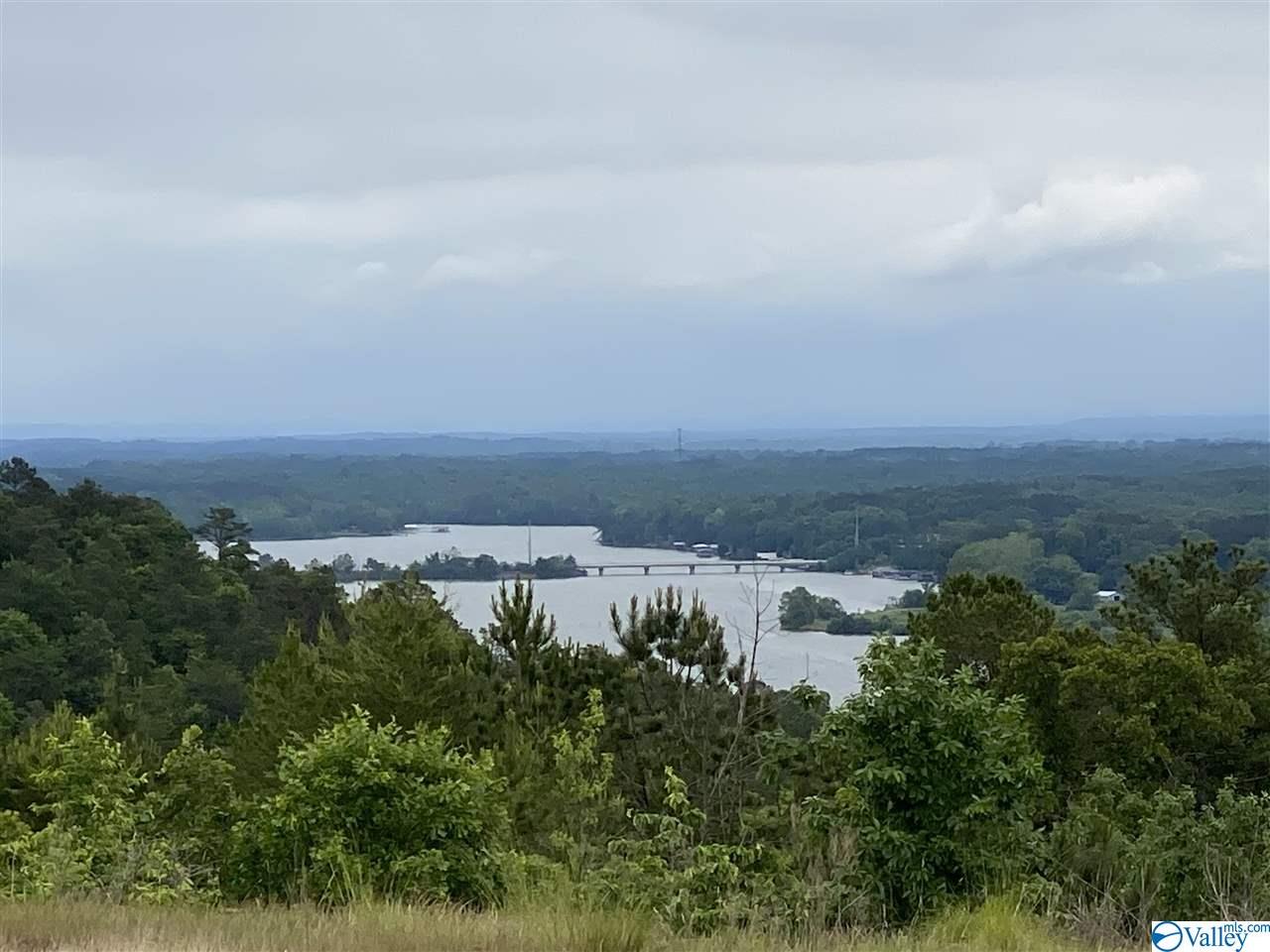 LOT 56 County Road 767, Cedar Bluff, Alabama image 6