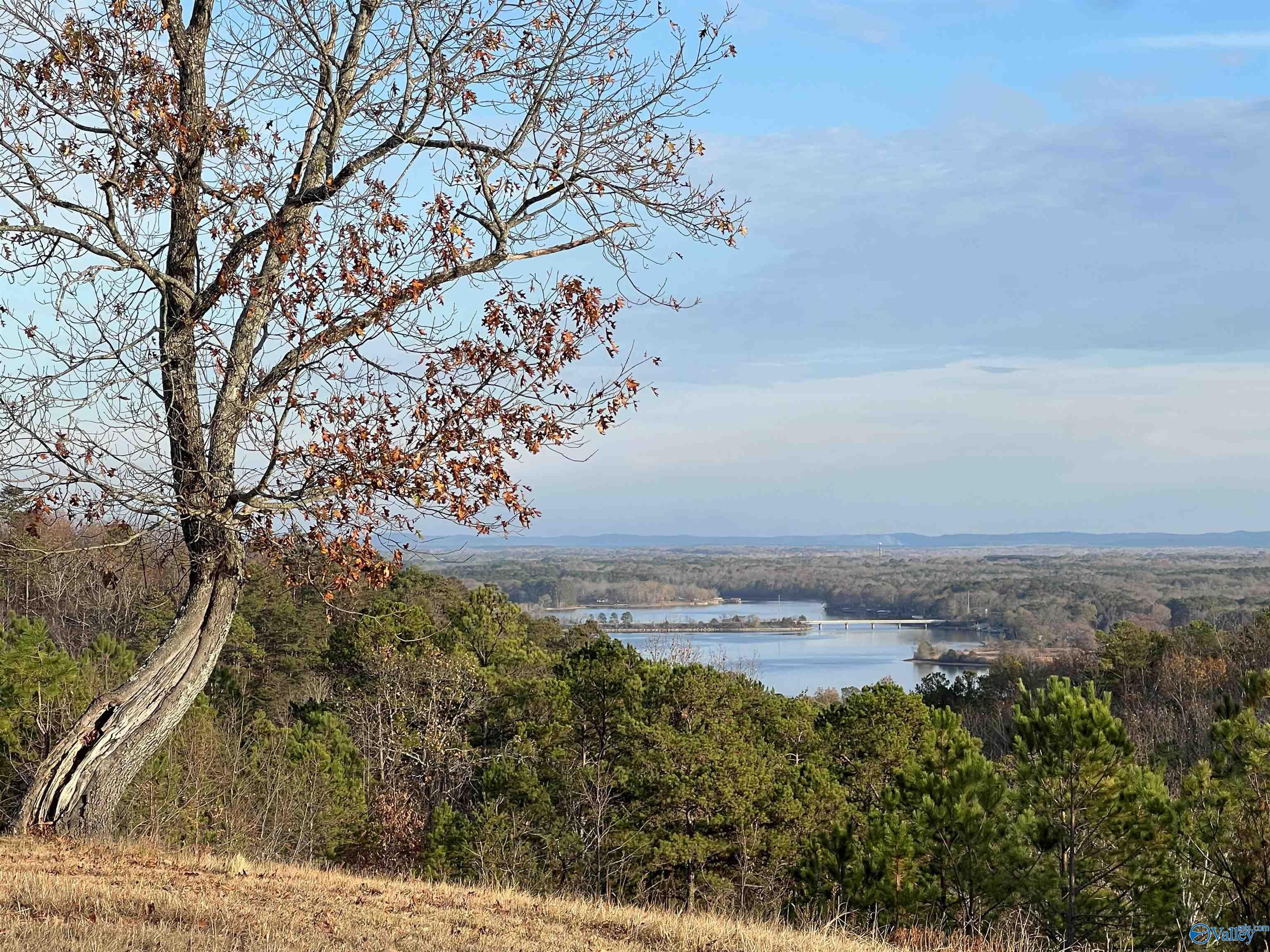 LOT 56 County Road 767, Cedar Bluff, Alabama image 1