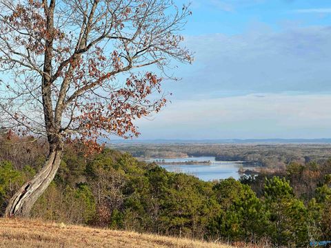 Vacant Land For Sale - 56 County Road 767<br/> Cedar Bluff, AL 35959