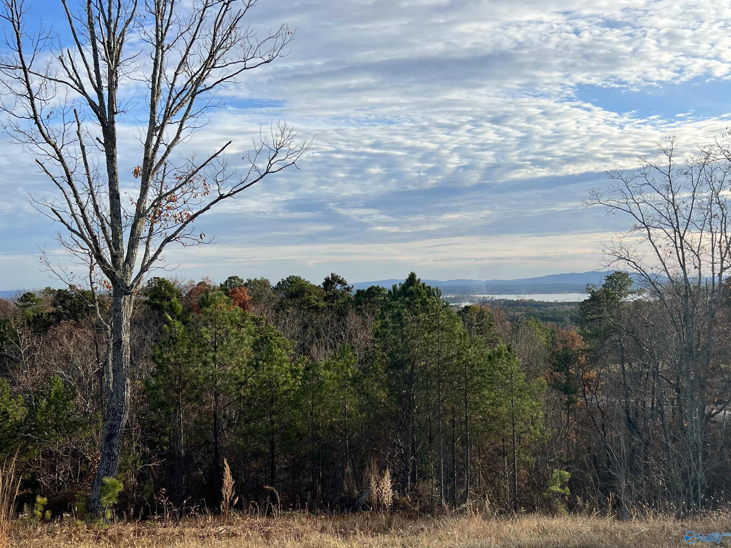 LOT 56 County Road 767, Cedar Bluff, Alabama image 2