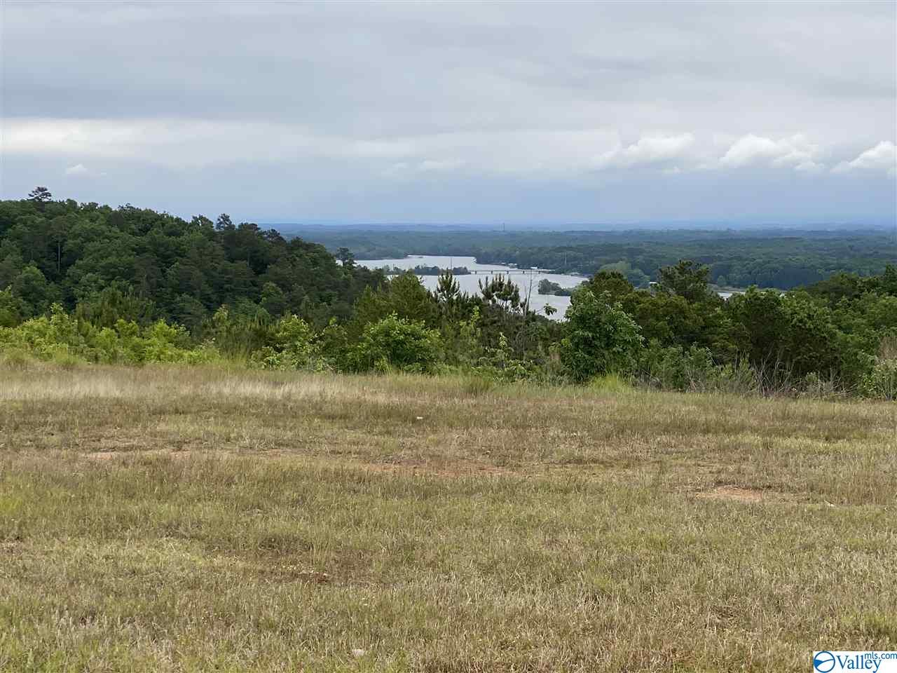 LOT 56 County Road 767, Cedar Bluff, Alabama image 7