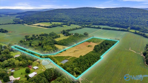 Vacant Land For Sale - 20.3 ACRES Maysville Road<br/> New Market, AL 35761