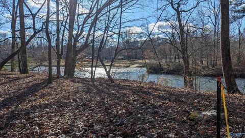 Vacant Land For Sale - LOT 12 County Road 137<br/> Cherokee County, Cedar Bluff, AL 35959