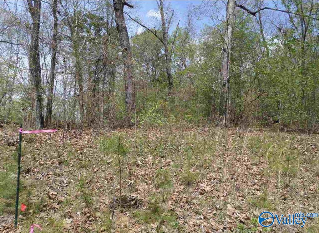 Lot 12 County Road 137, Cedar Bluff, Alabama image 4