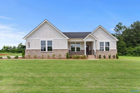 Homes For Sale - 215 Applewood Court<br/> Huntsville, AL 35811