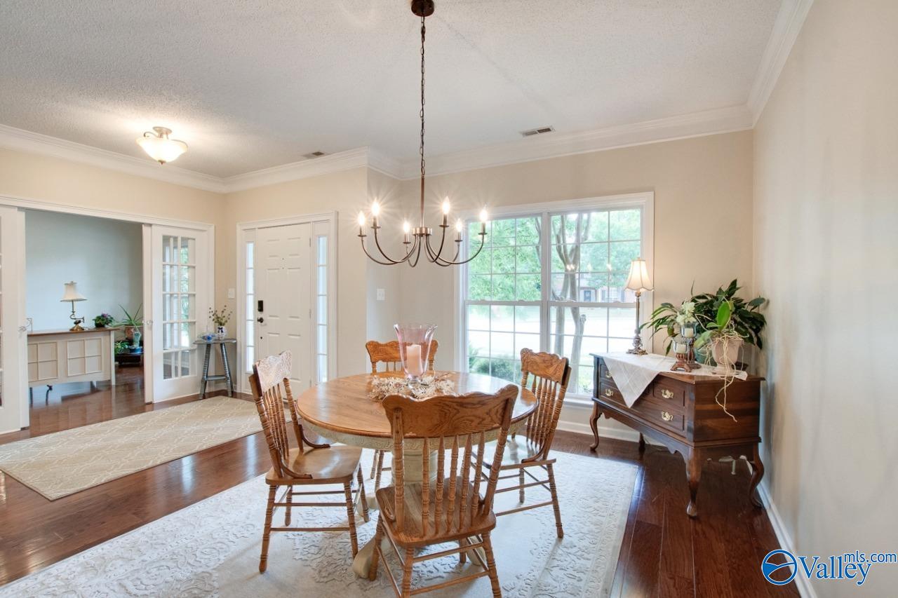 127 Bay Pointe Lane, Madison, Alabama image 11