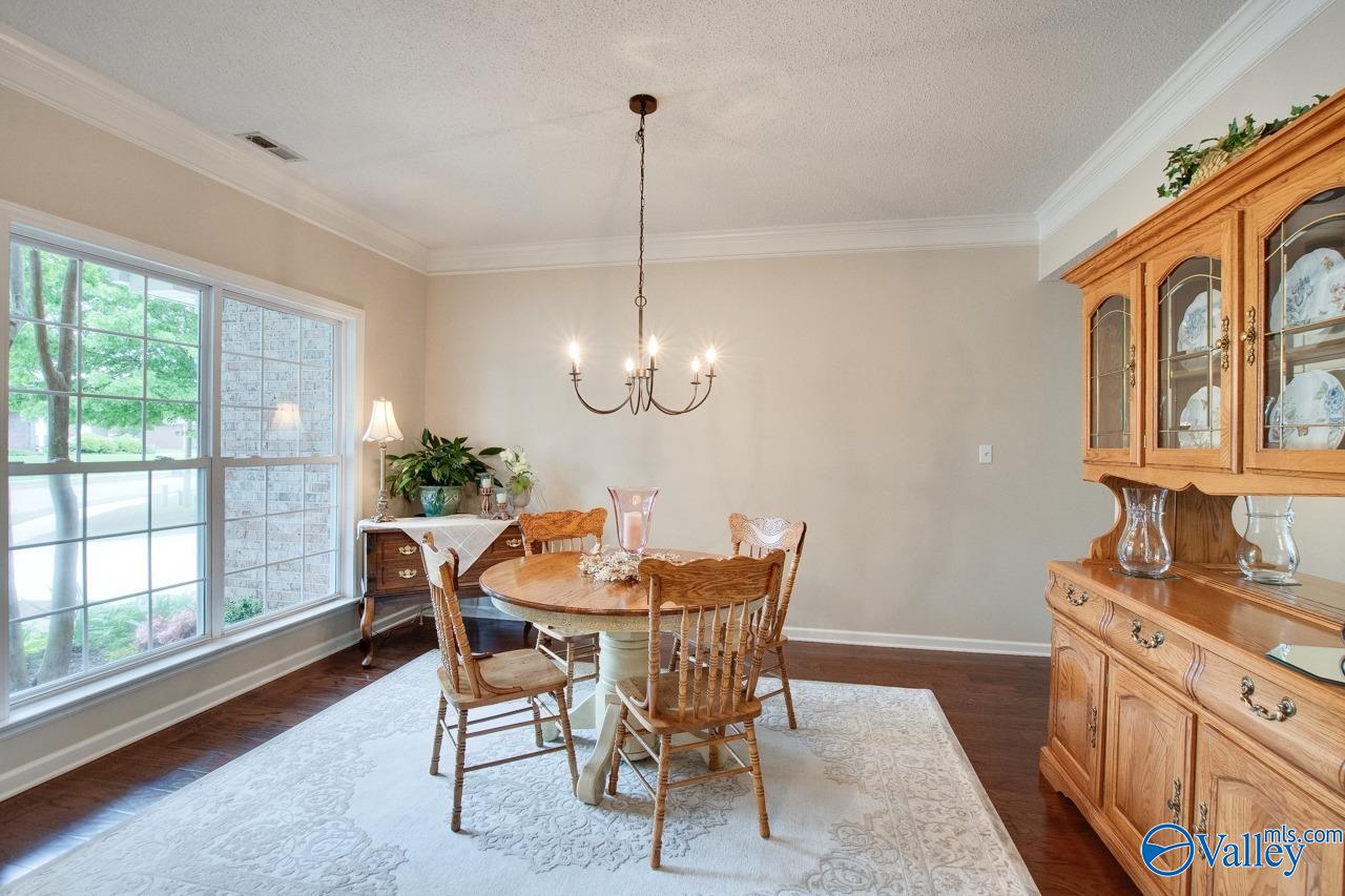 127 Bay Pointe Lane, Madison, Alabama image 10