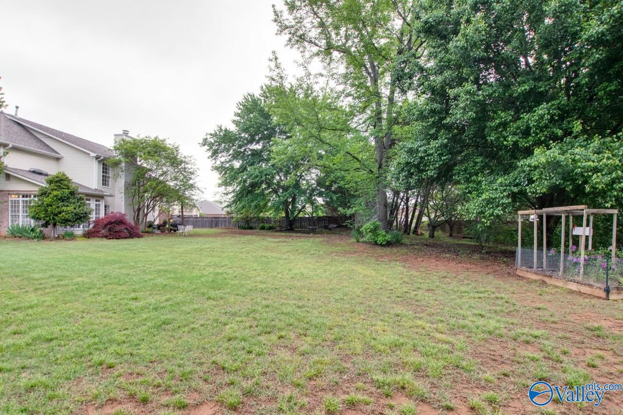 127 Bay Pointe Lane, Madison, Alabama image 37